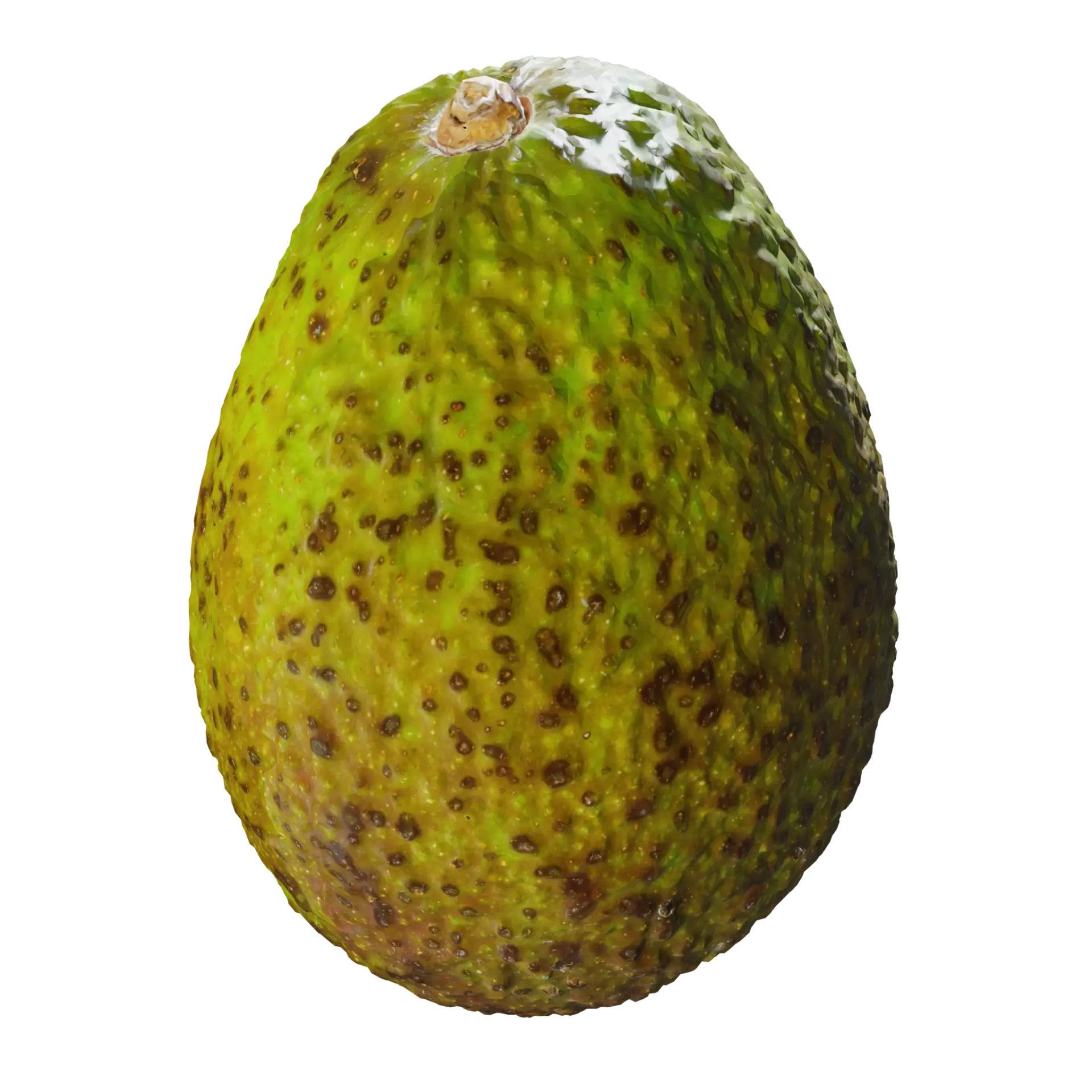 3D Avocado 001