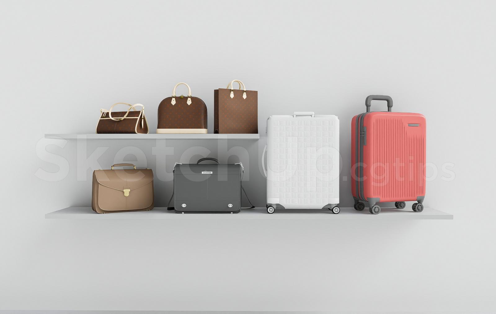 Luxury Luggage and Handbag