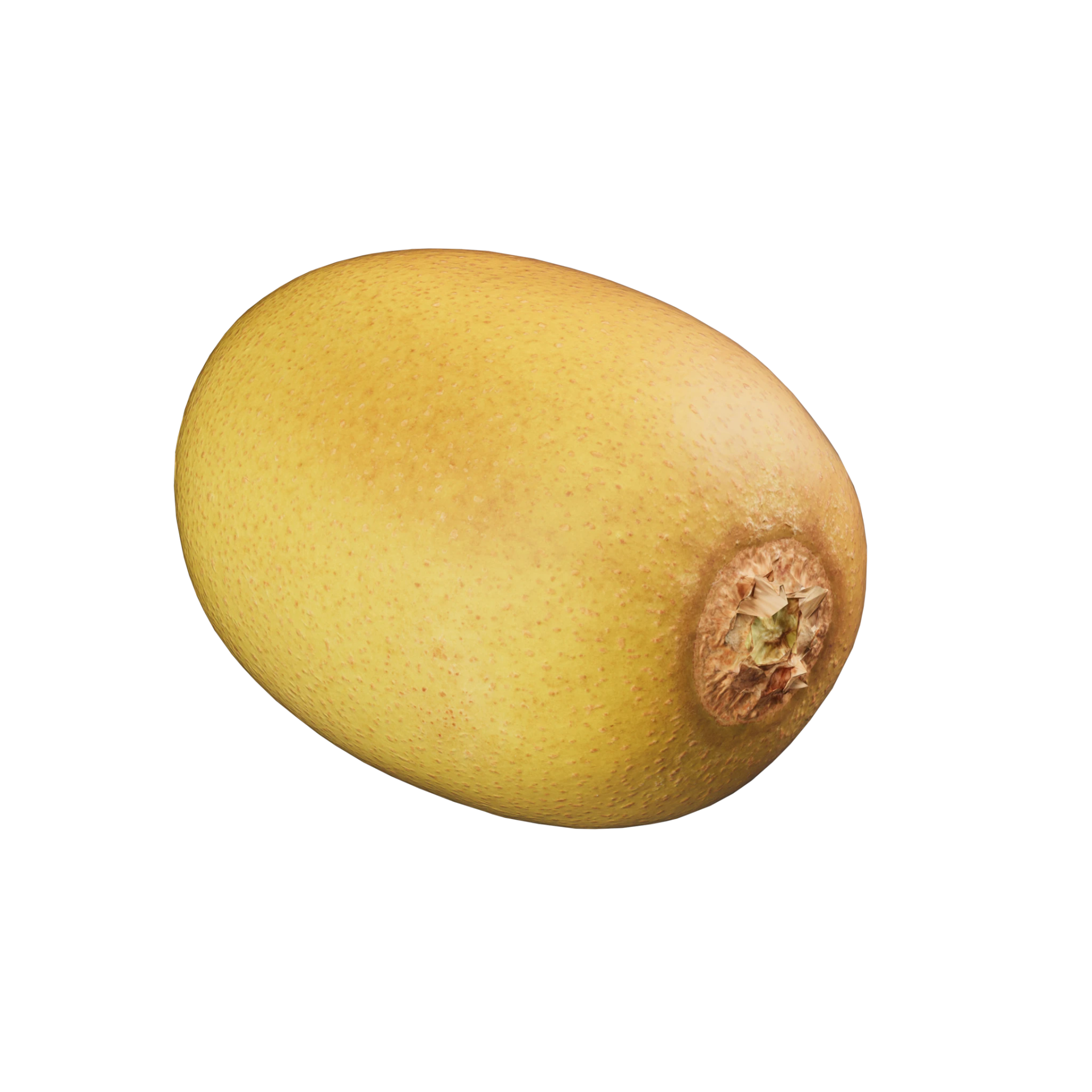 3D Kiwi 001