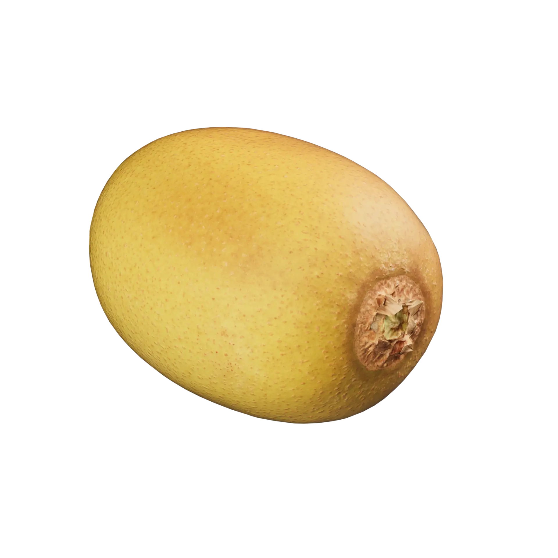 3D Kiwi 001