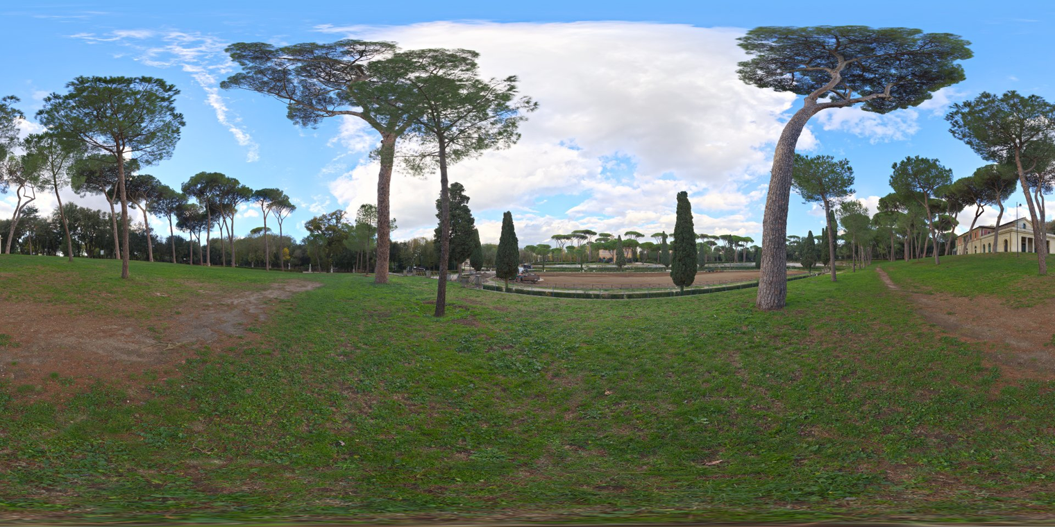 Stone Pines