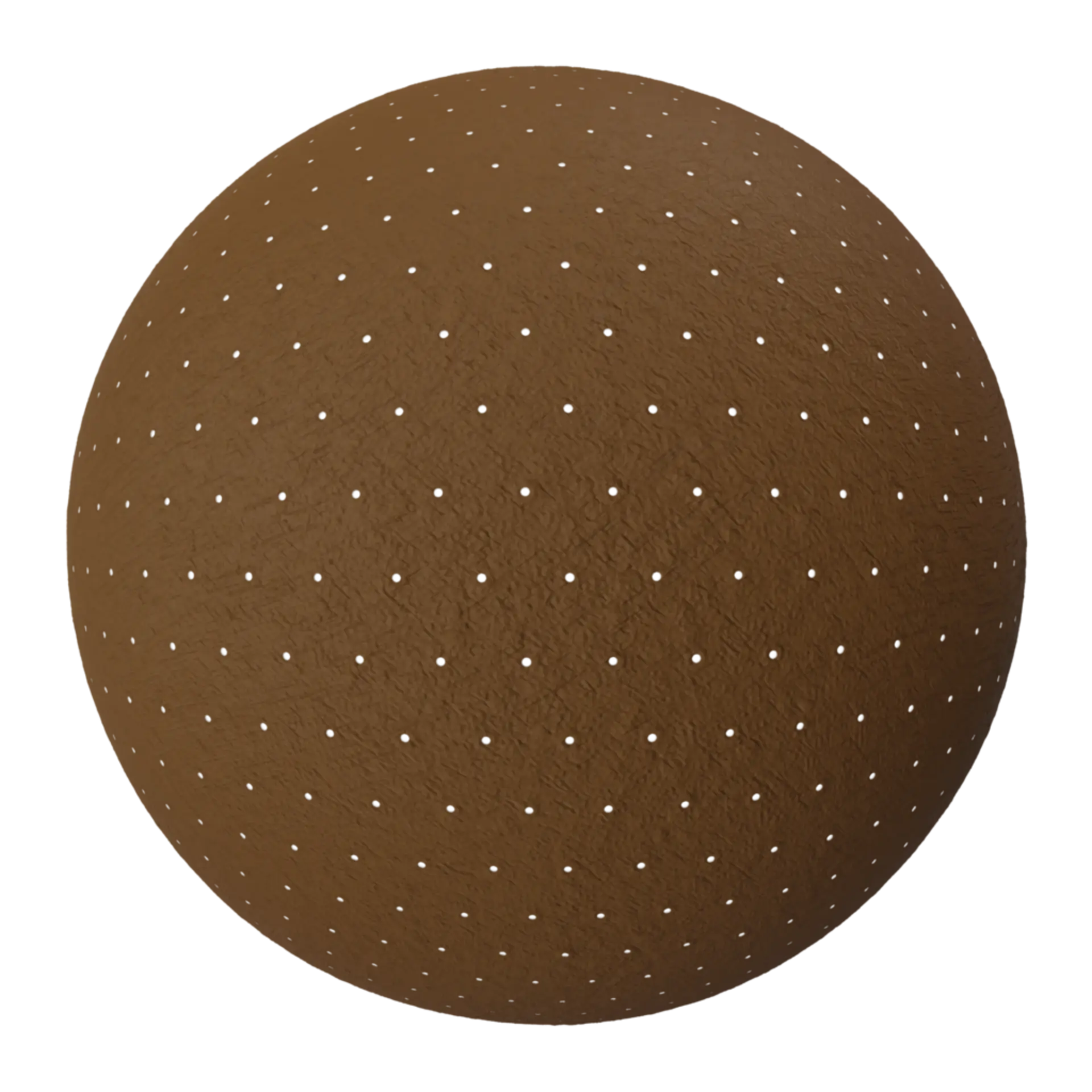 Leather 019