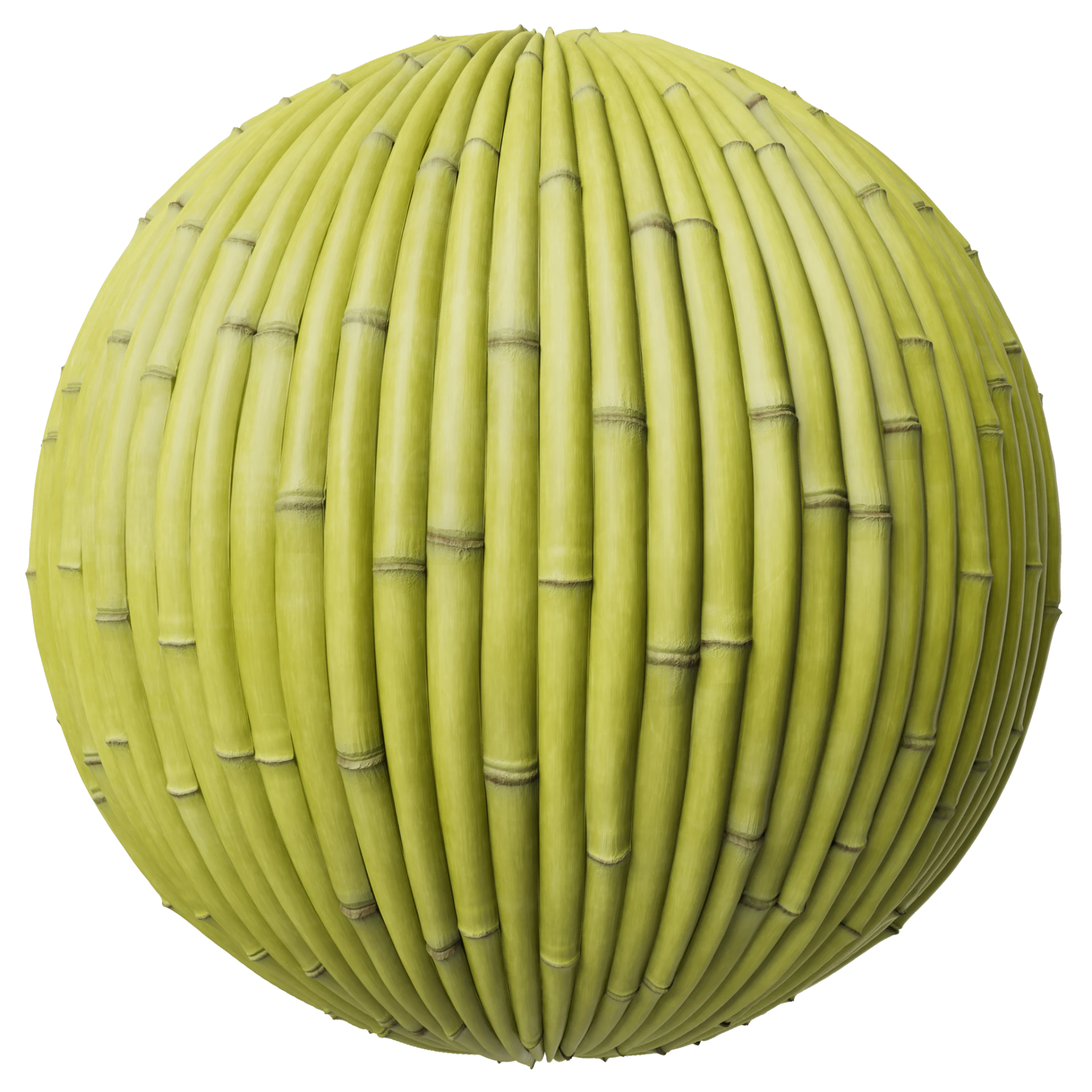 Bamboo 001 A