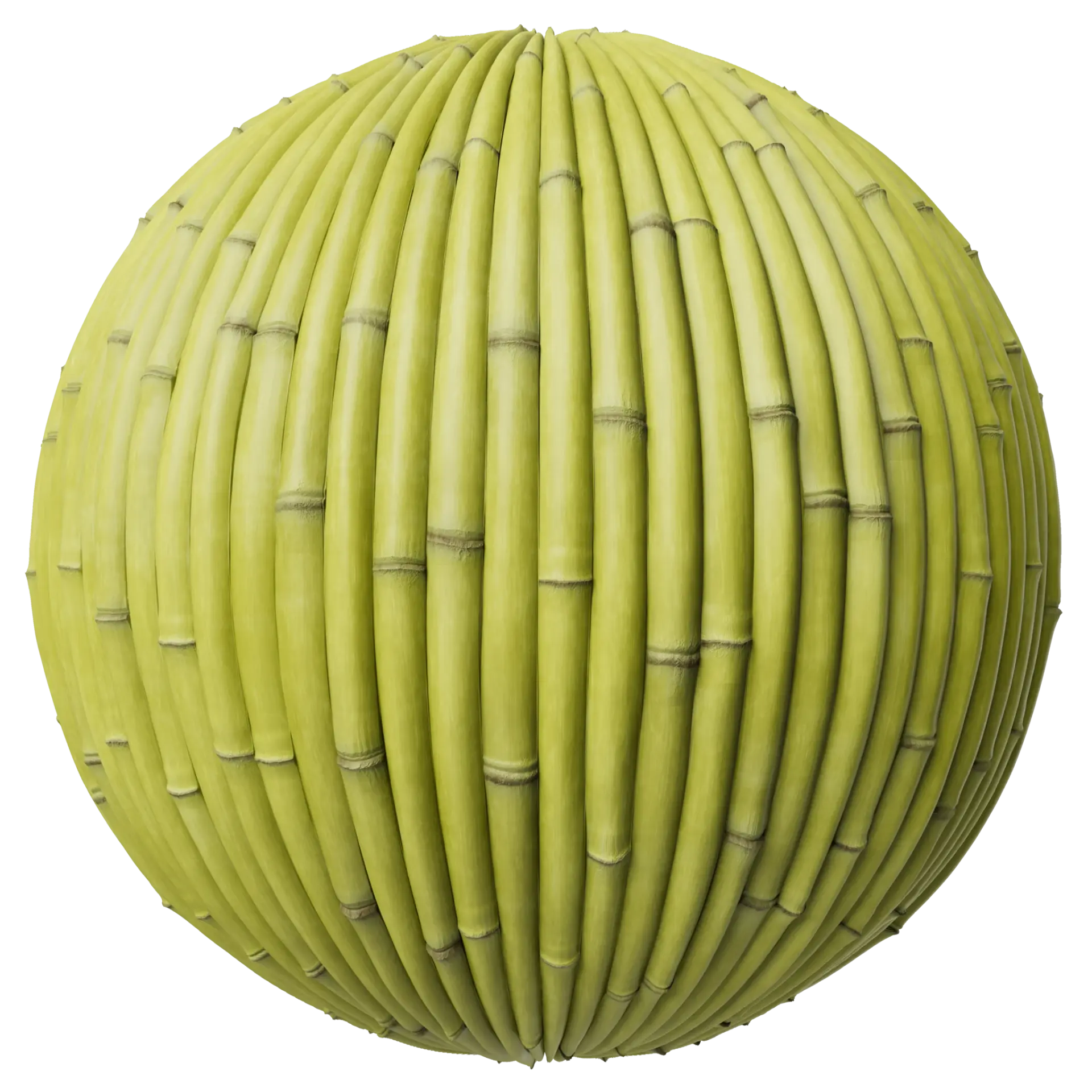 Bamboo 001 A