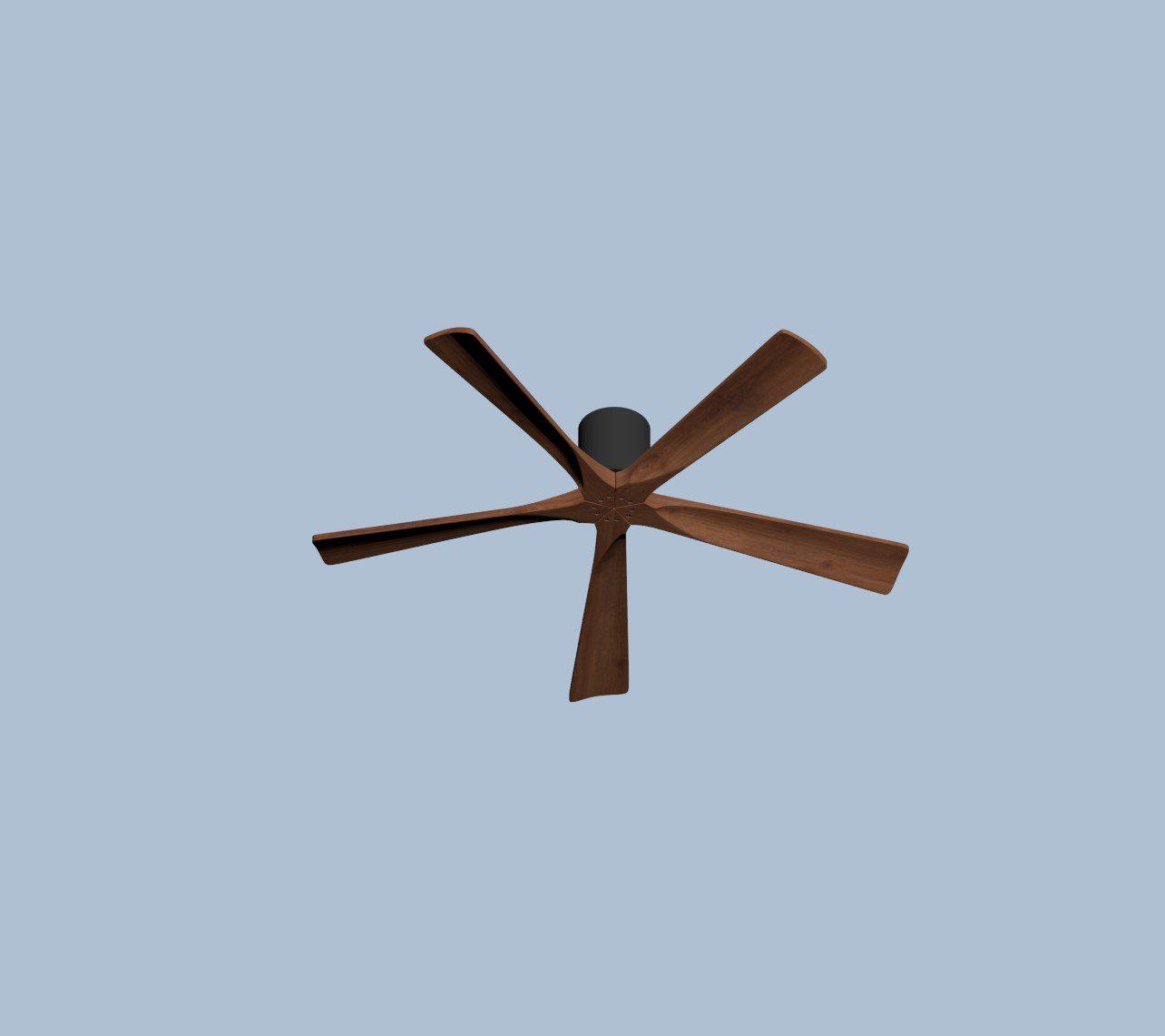 Ceiling Fans