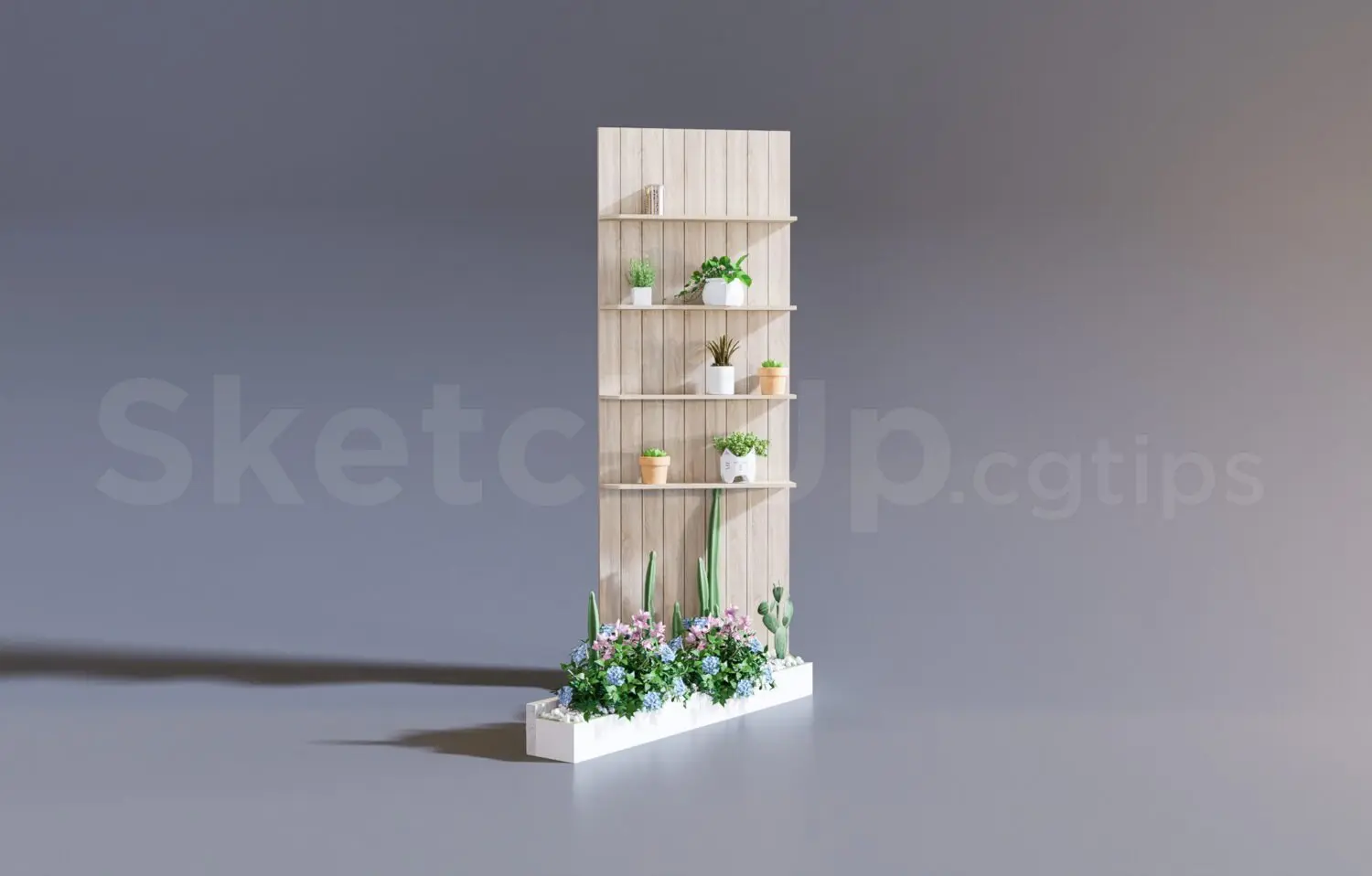 Plant