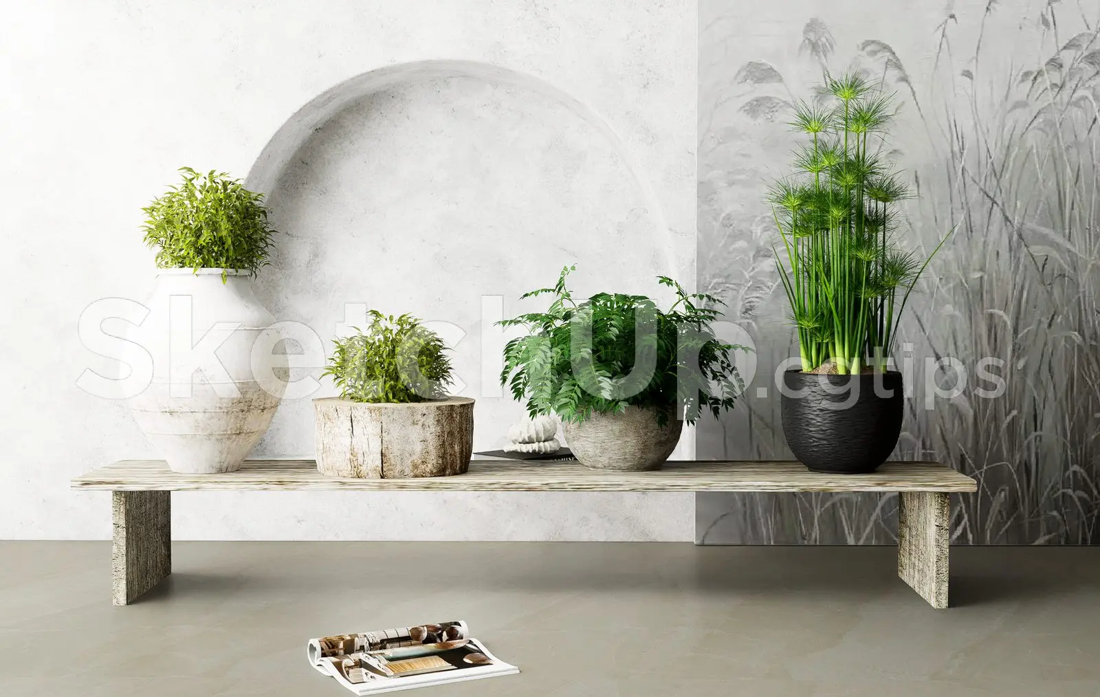 Plant