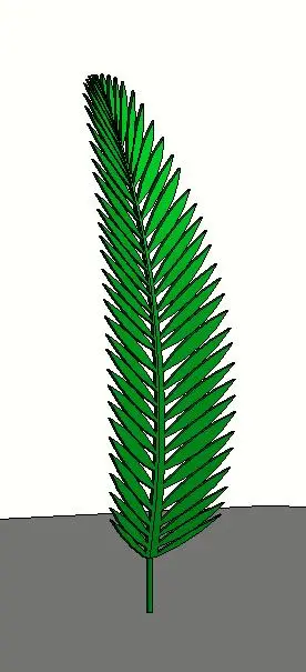 Palm-Frond_RDA