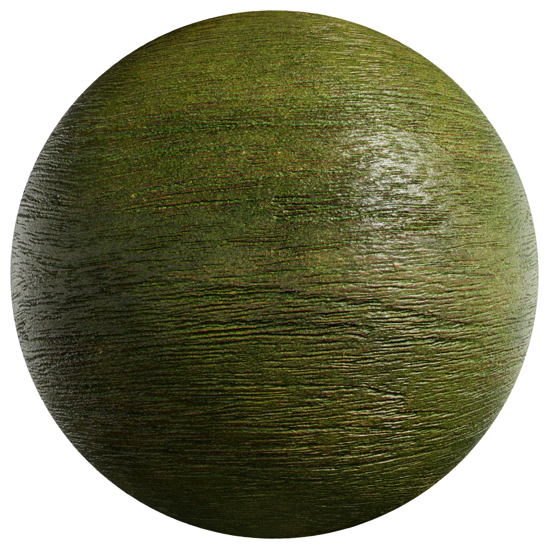 Wood 064