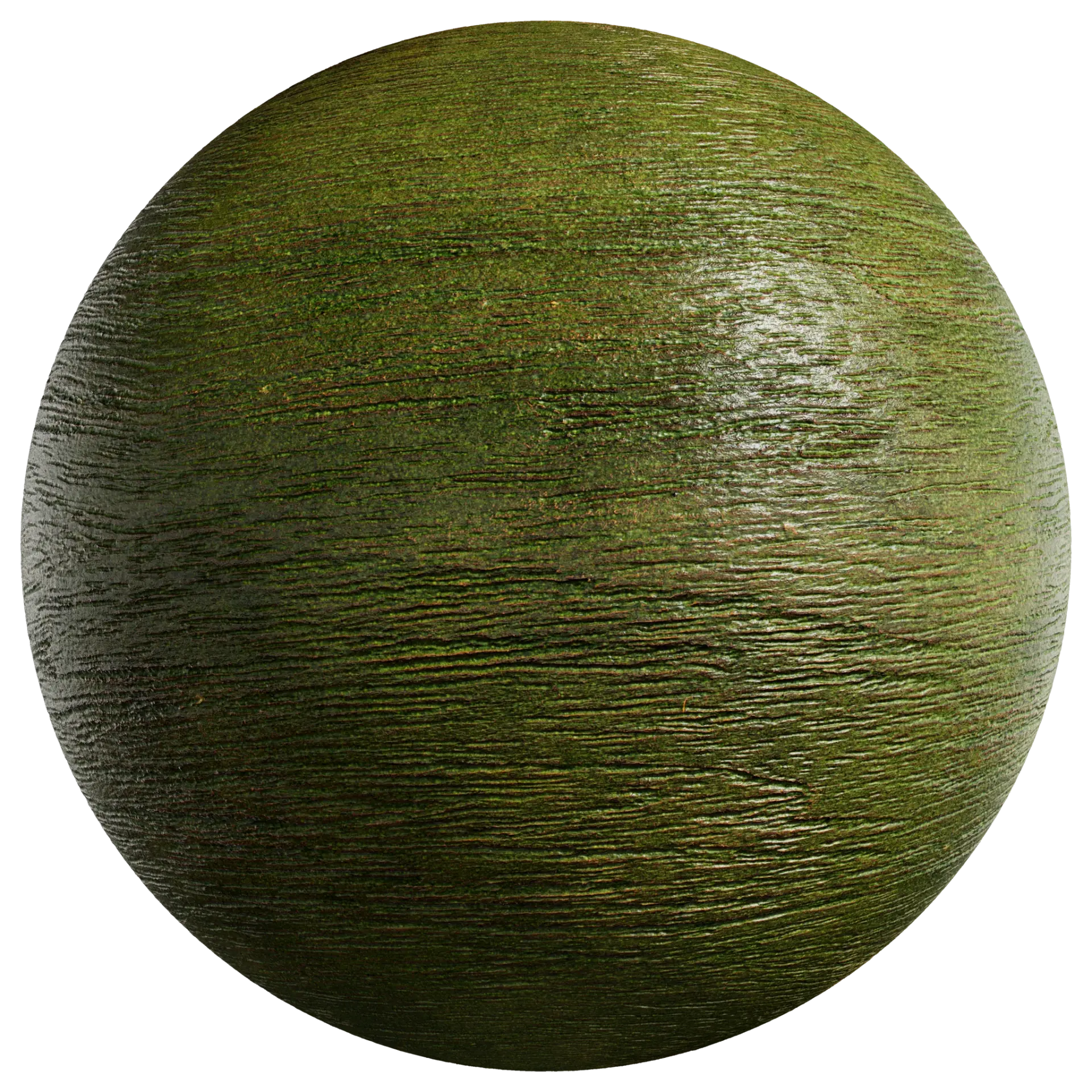 Wood 064