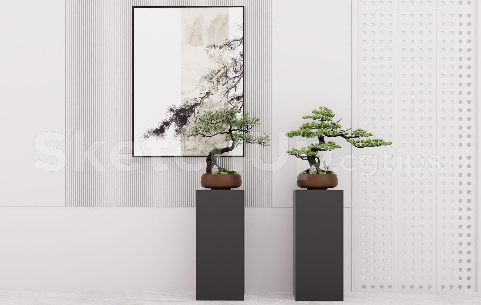 BonSai Tree