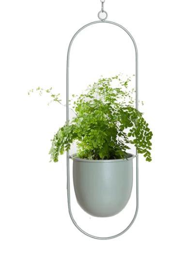 Metal Oval Pot Plant