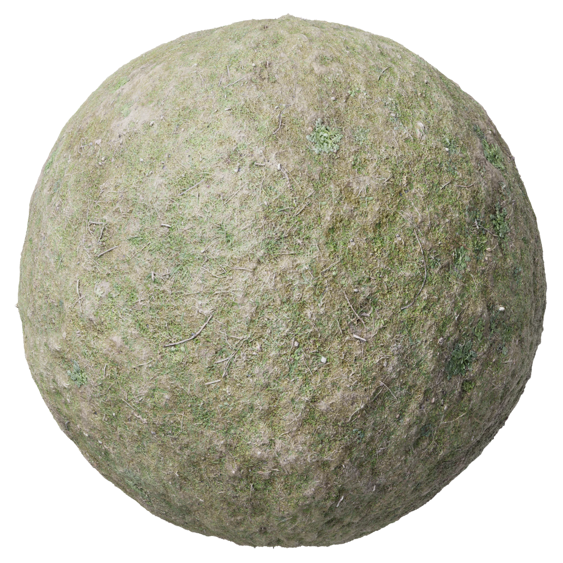 Ground 013
