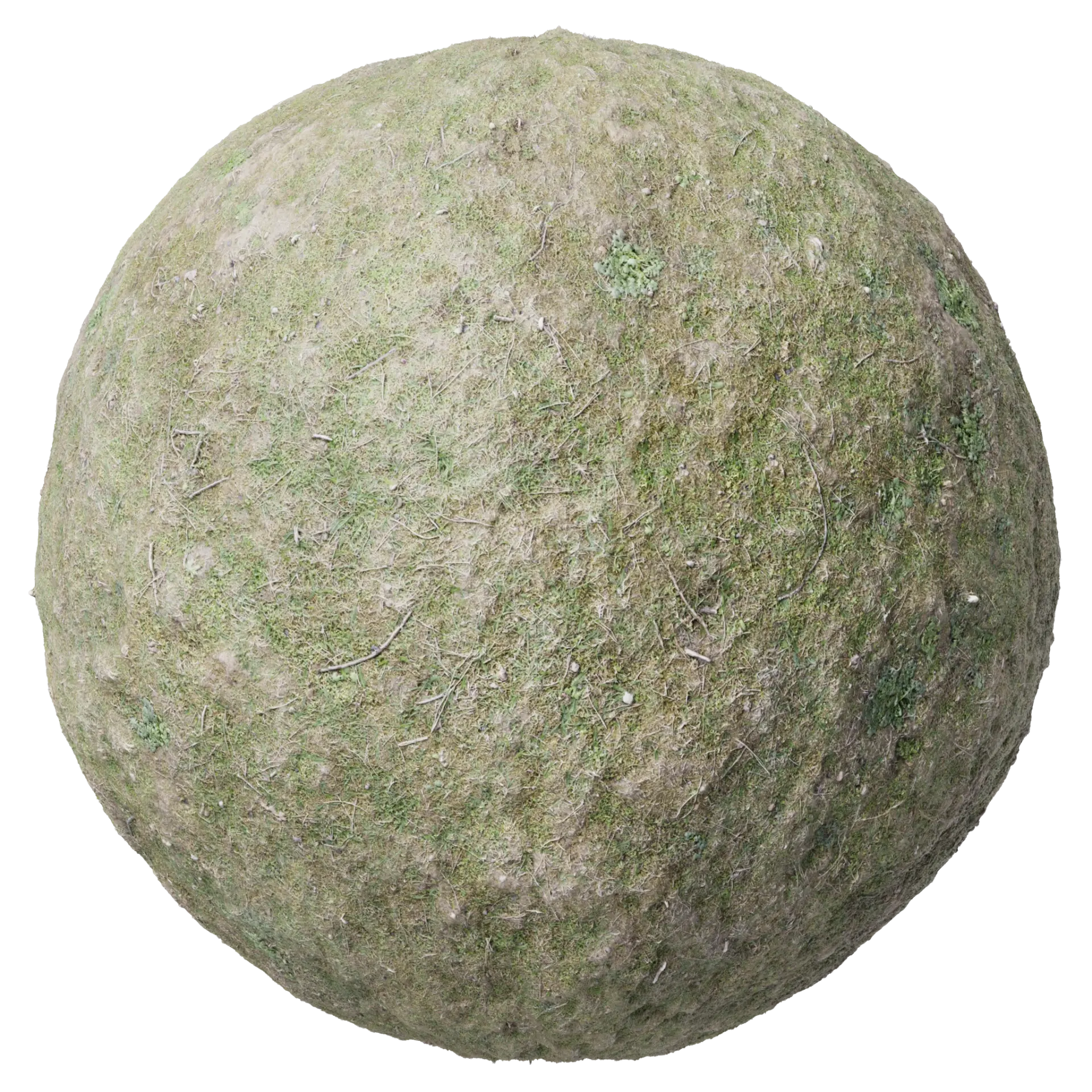 Ground 013