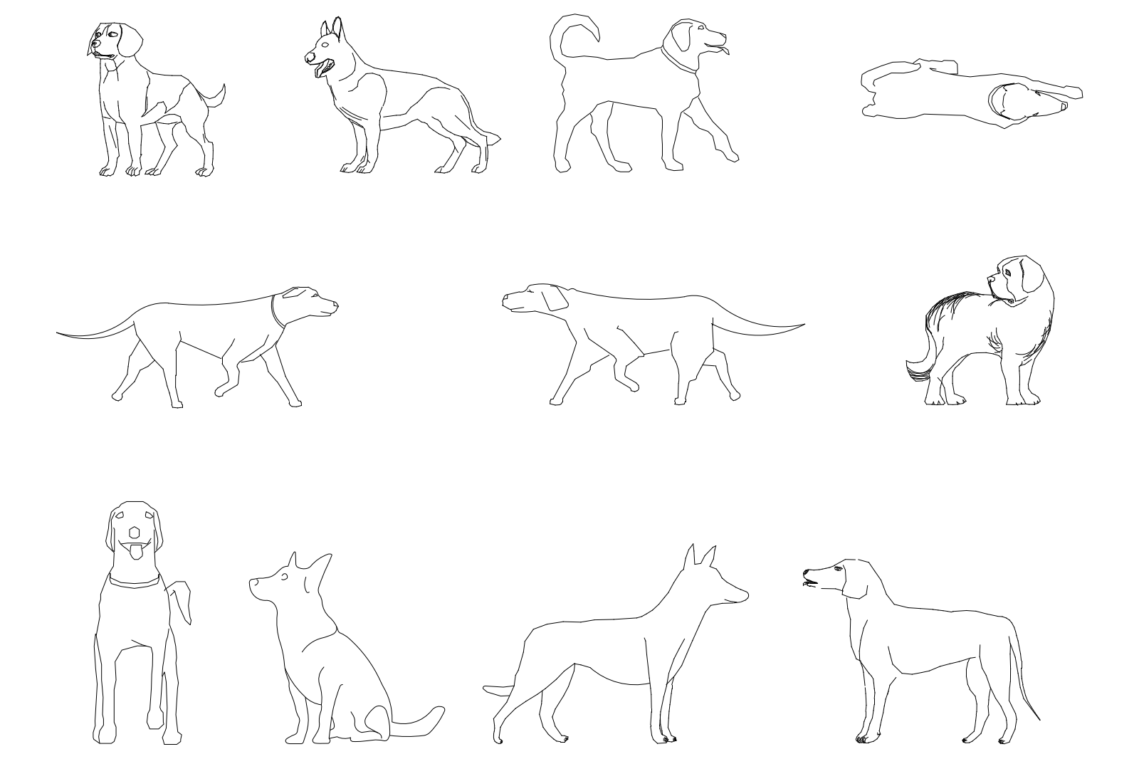 Dogs