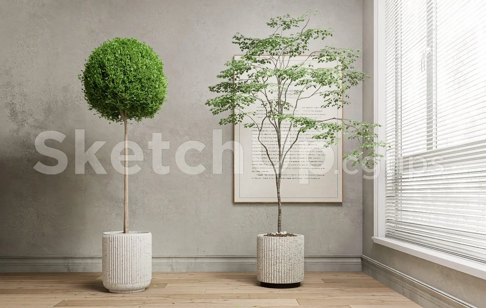 Plant
