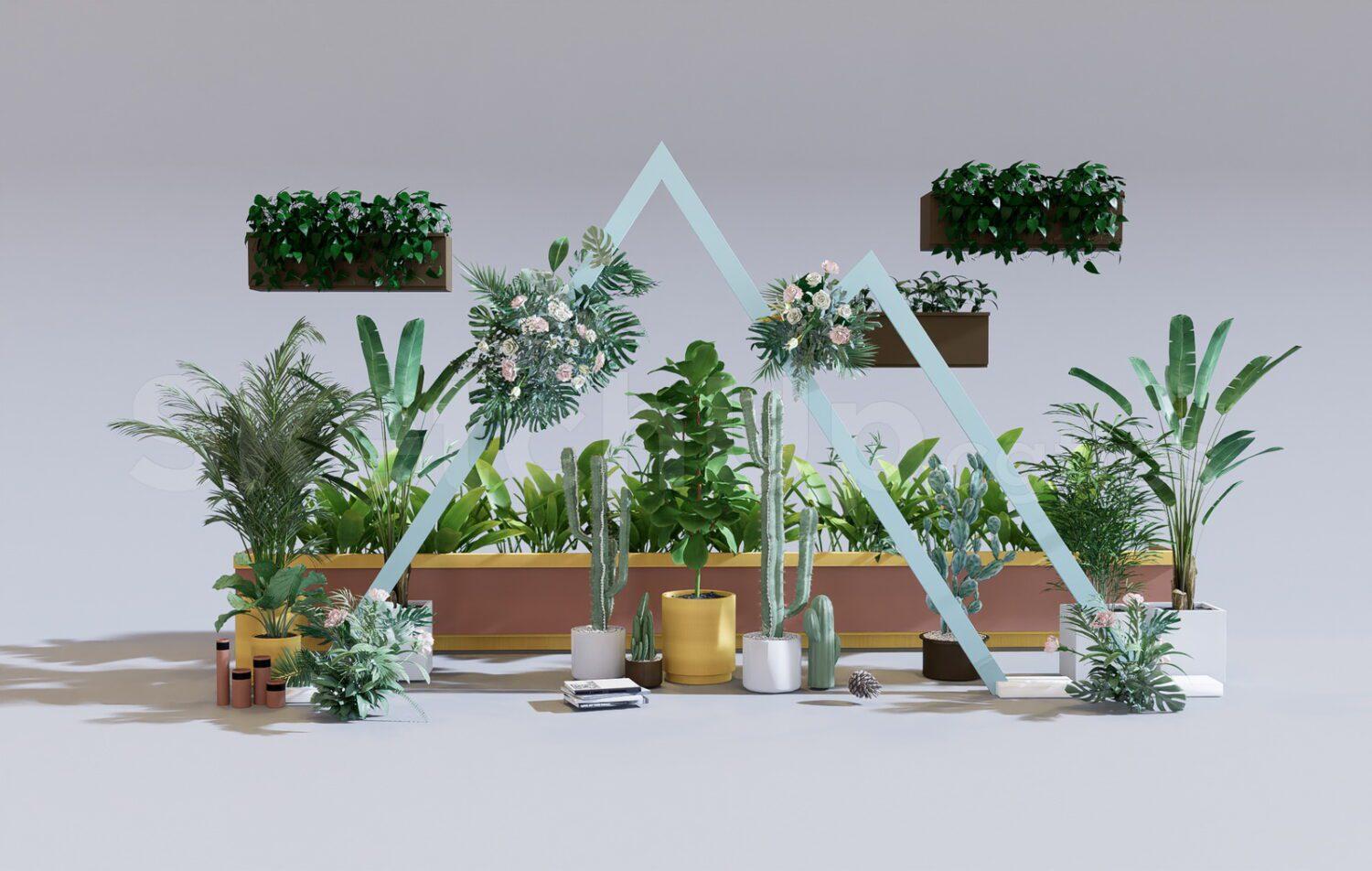 Plants