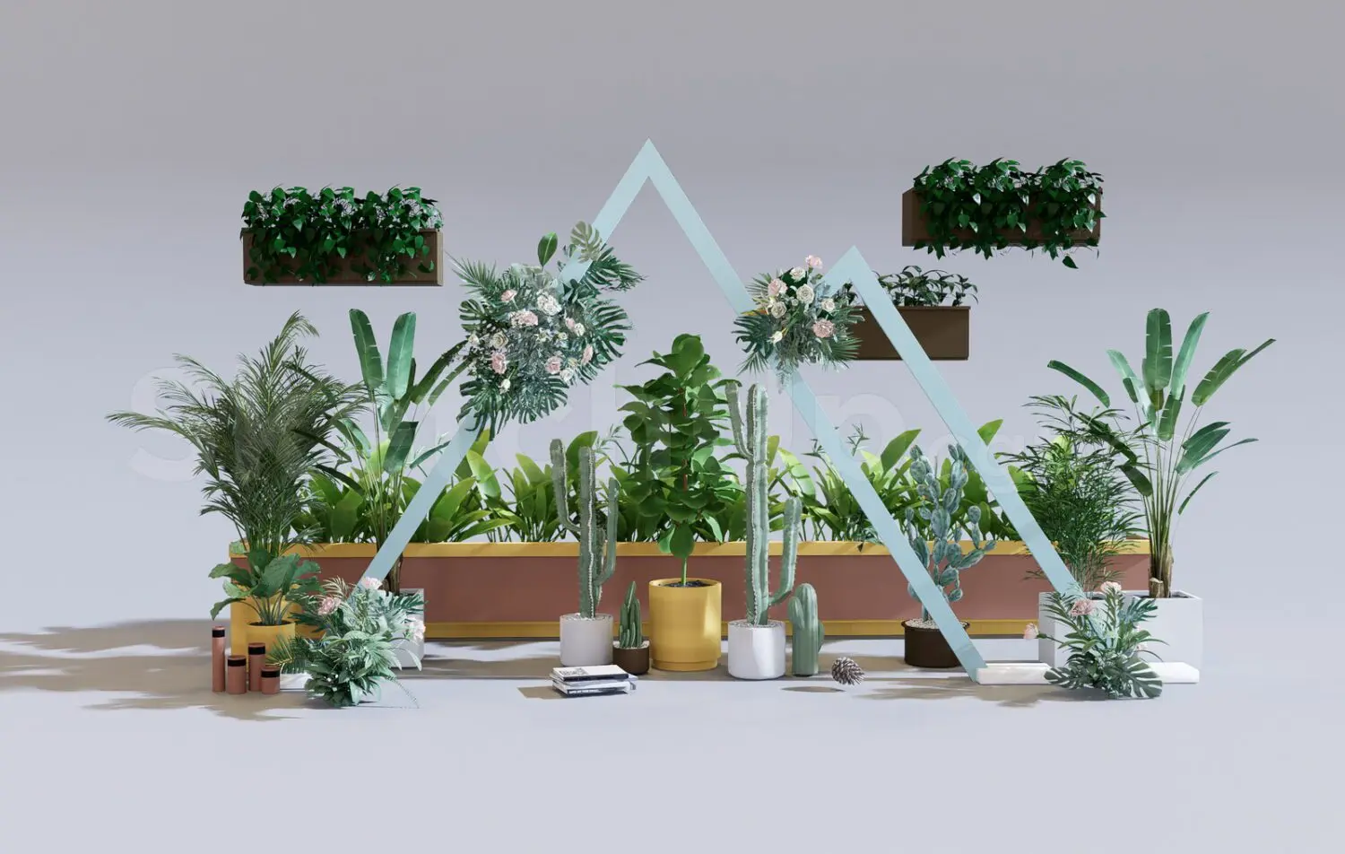 Plants