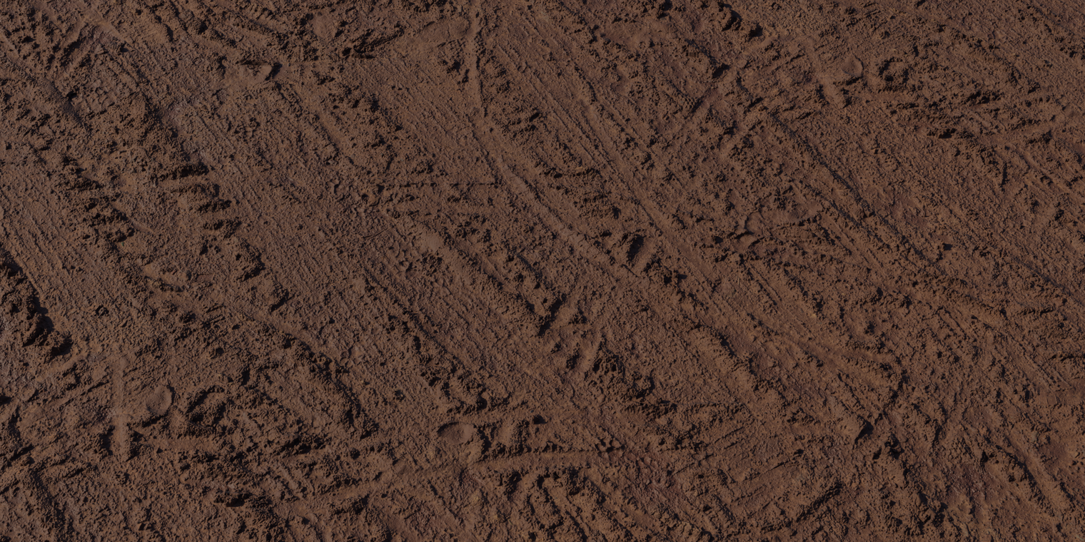Muddy Tracks