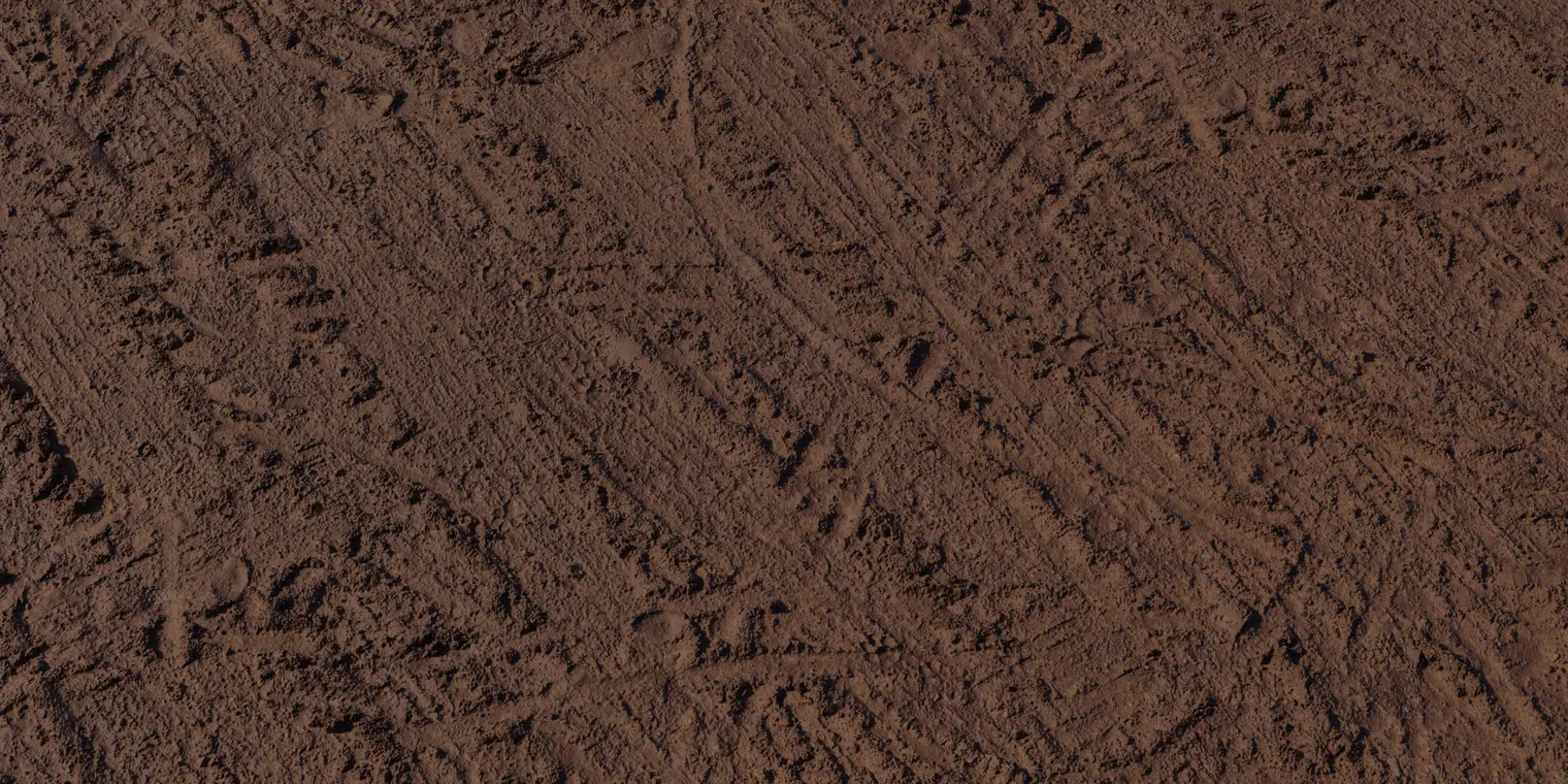 Muddy Tracks