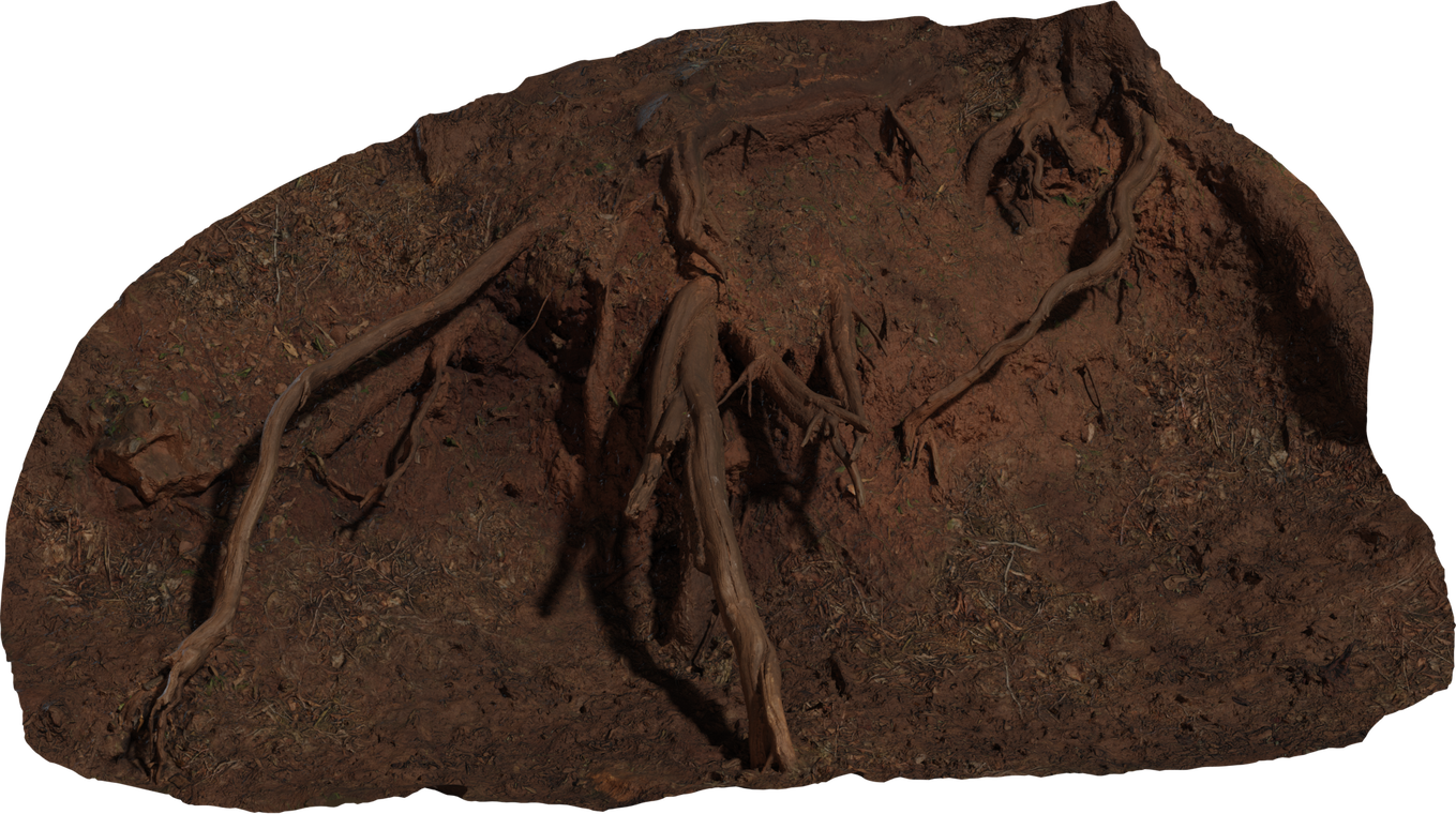Root Cluster 1