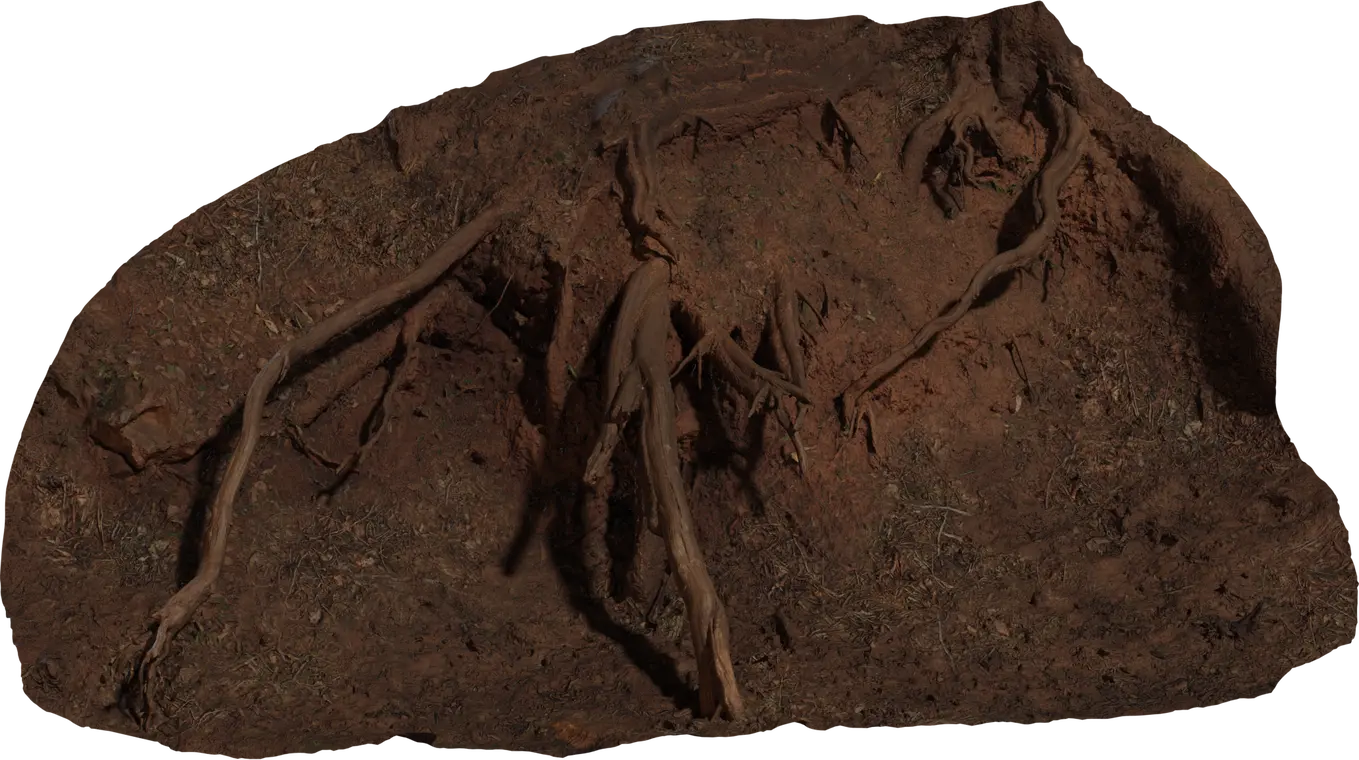 Root Cluster 1