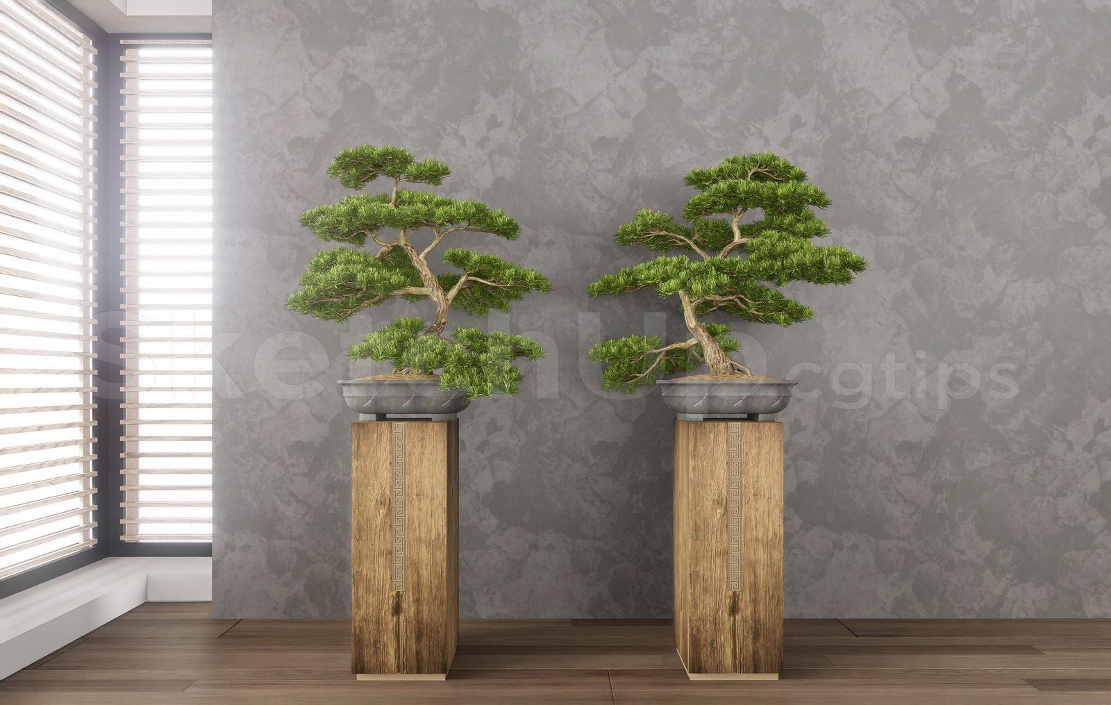 BonSai Tree — preview 1 (cgtips)