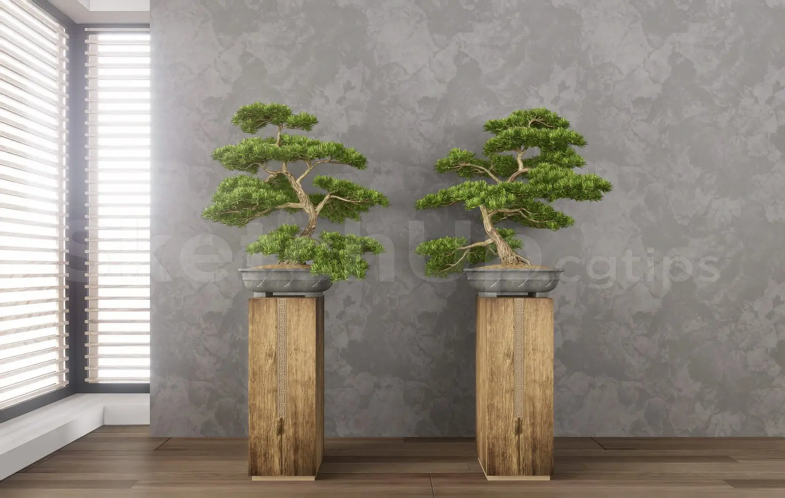 BonSai Tree