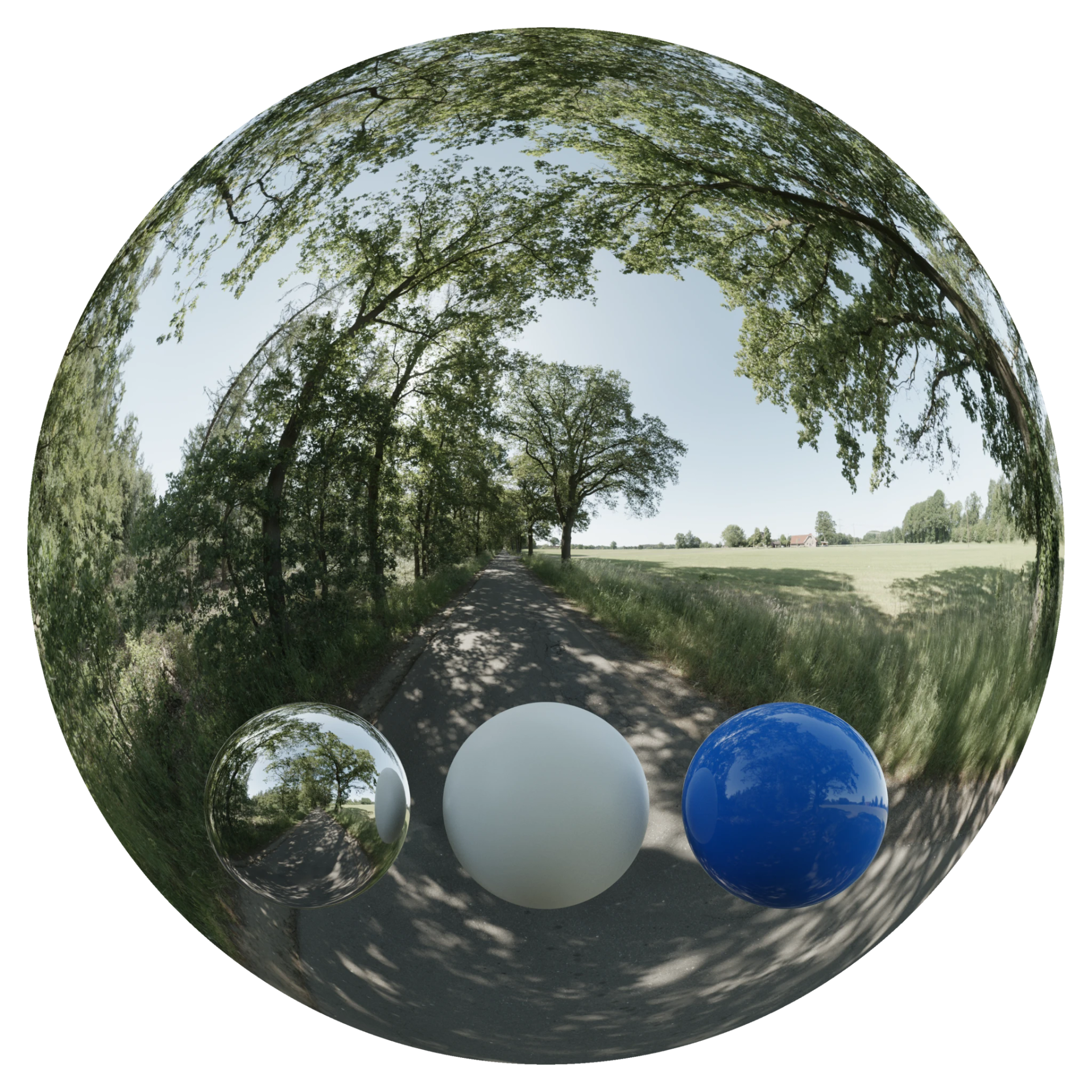 Day Environment HDRI 030