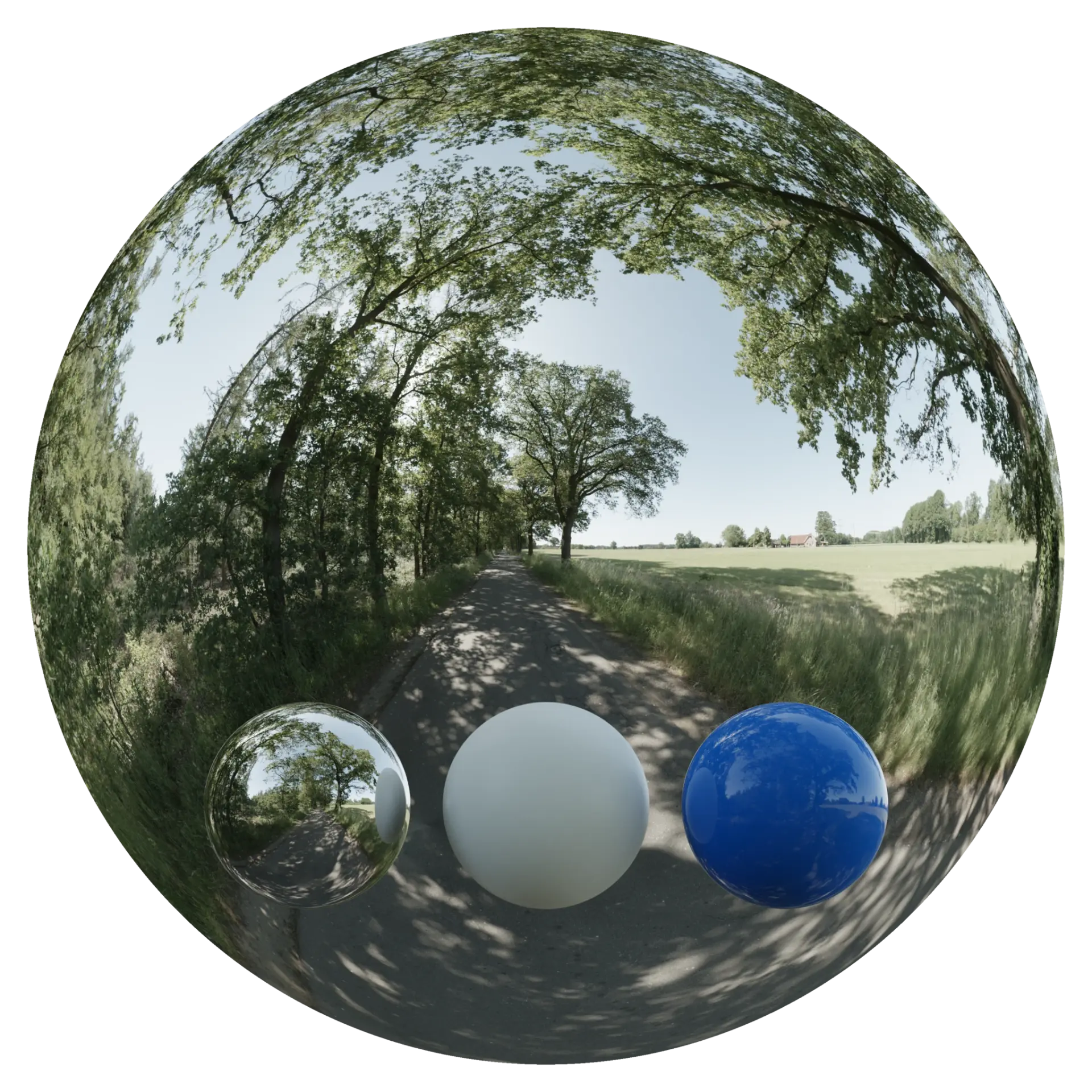 Day Environment HDRI 030