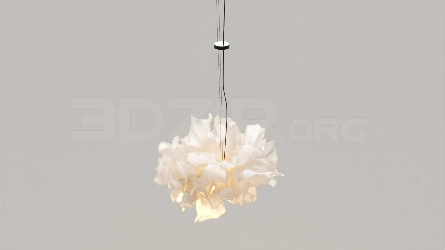 Ceiling Light