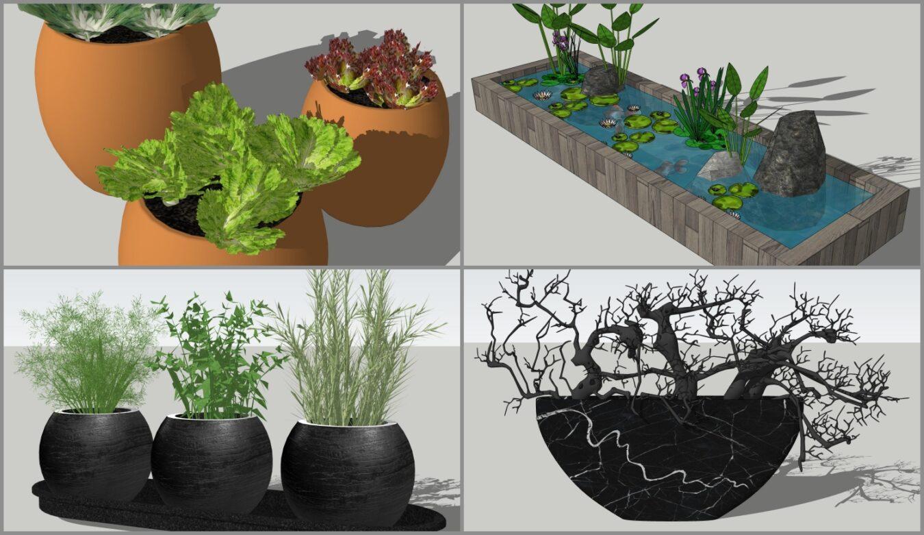 Plants