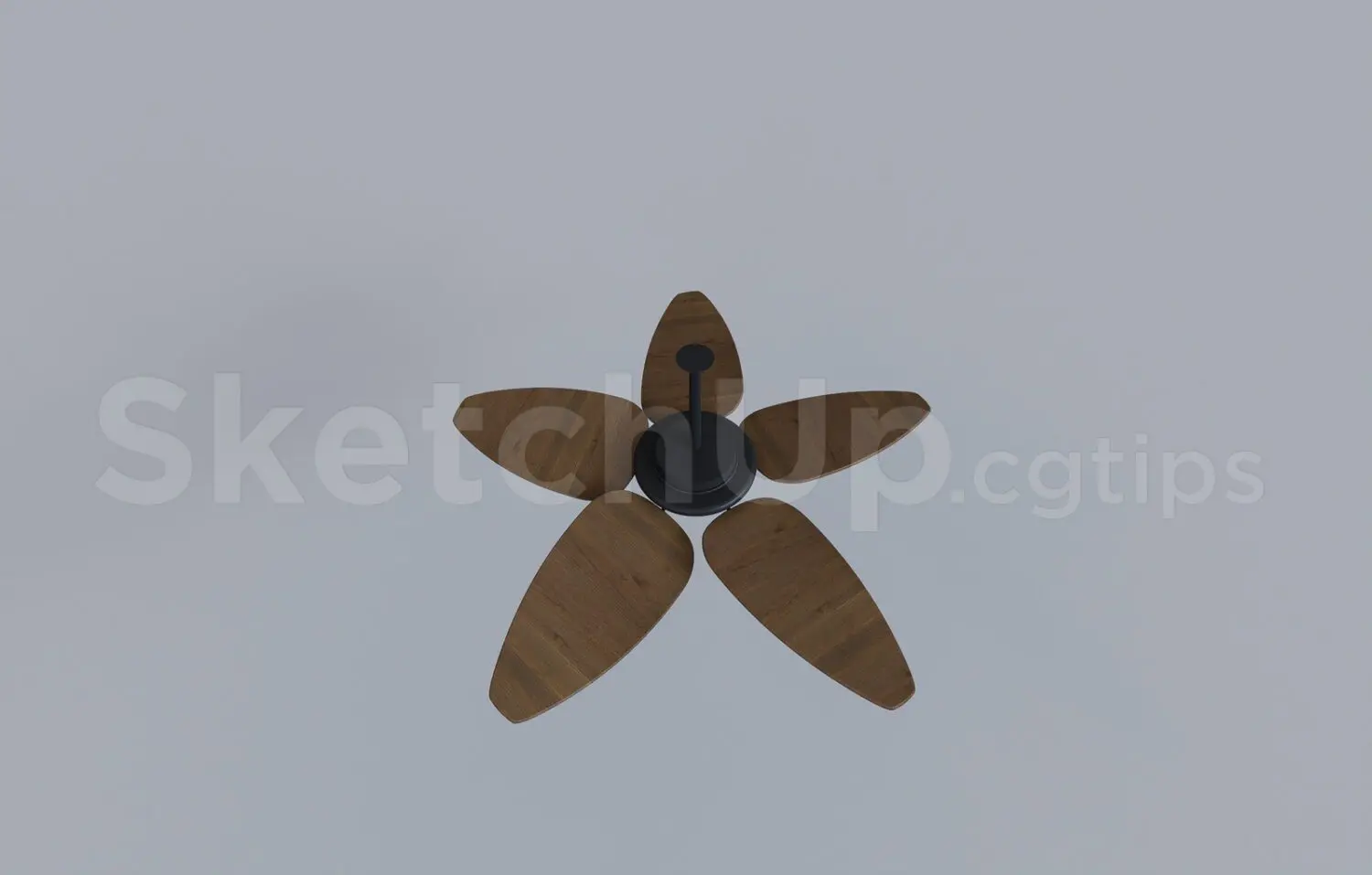 Ceiling Fans
