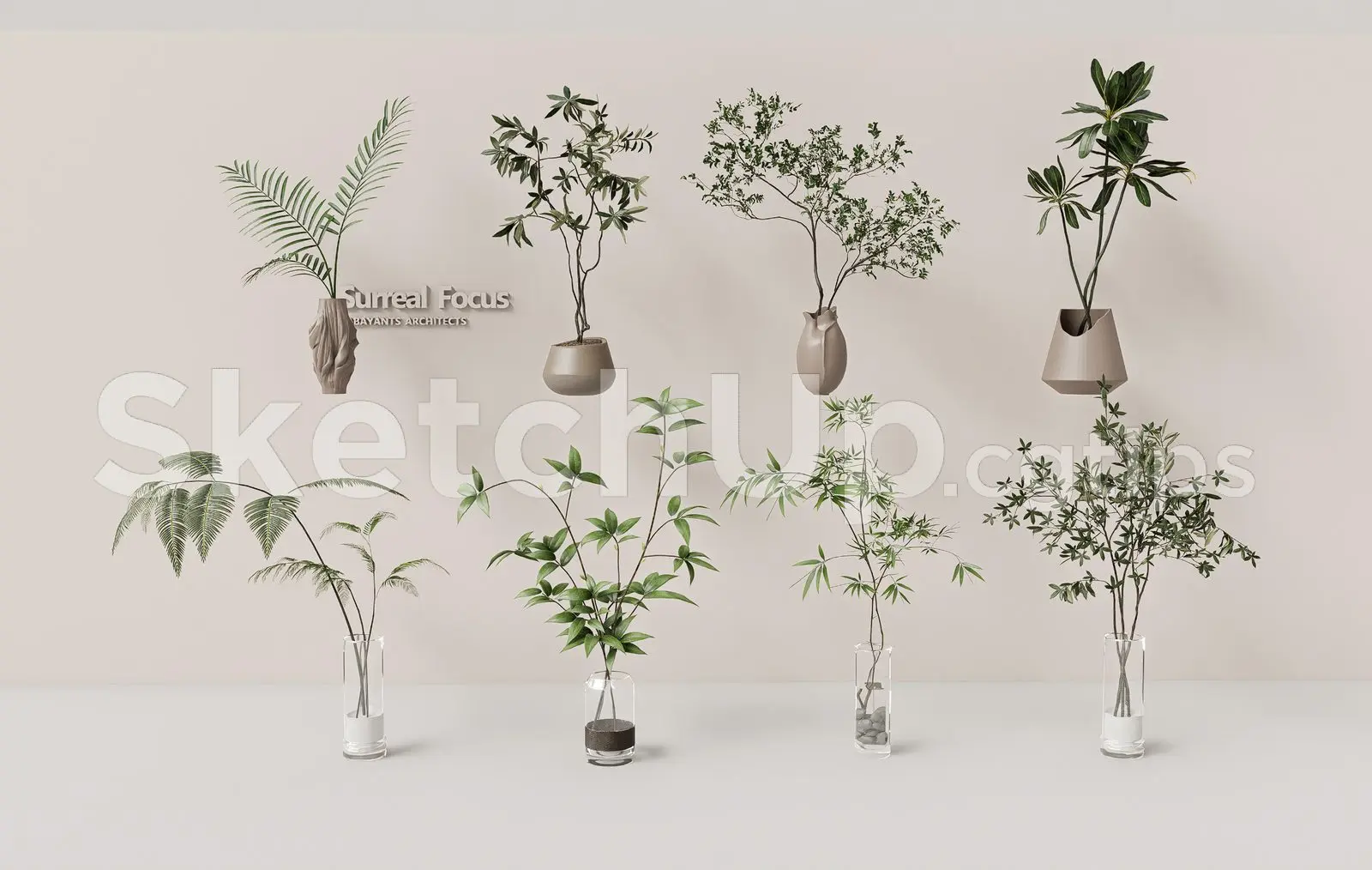 Plant