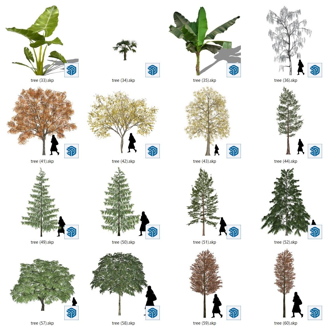 Trees — preview 1 (cgtips)