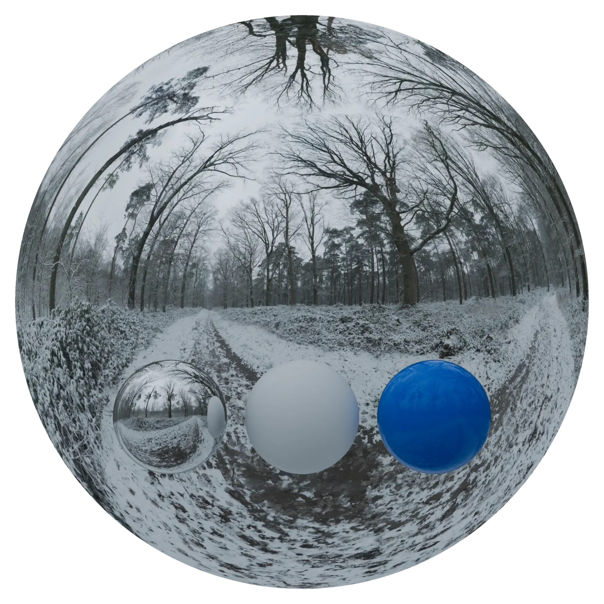 Day Environment HDRI 067 — preview 1 (ambientCG, CC0)