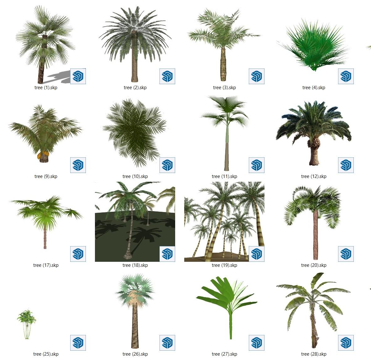 Trees