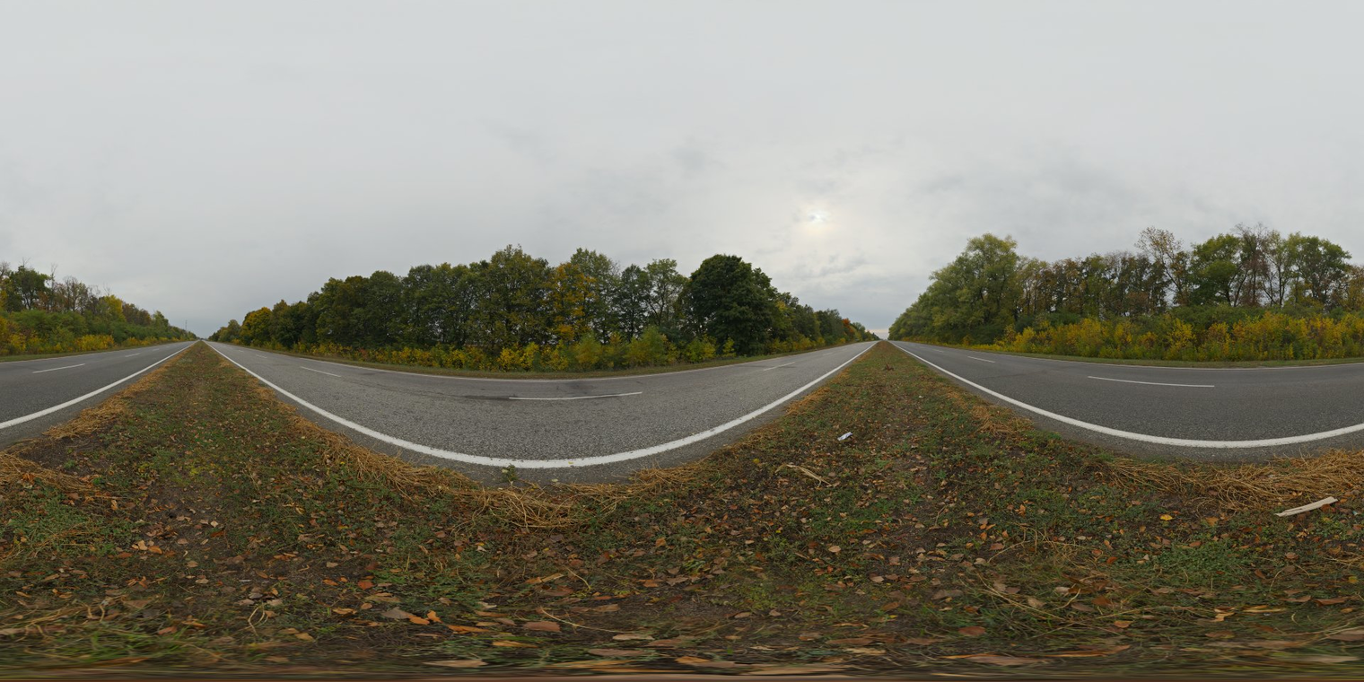 Autumn Road