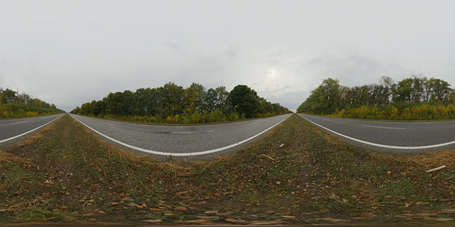 Autumn Road