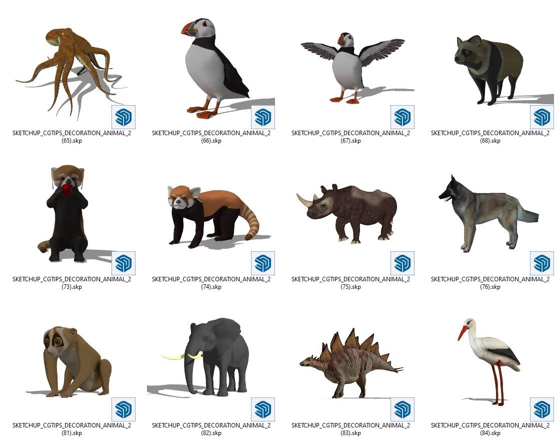 Animal