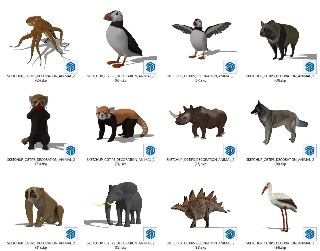Animal