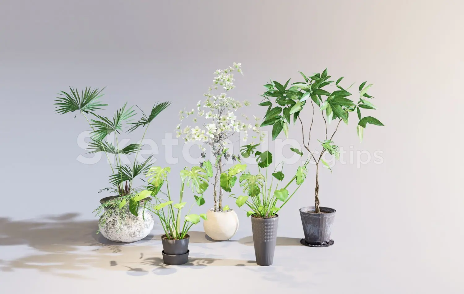 Plants — preview 1 (cgtips, CC0)