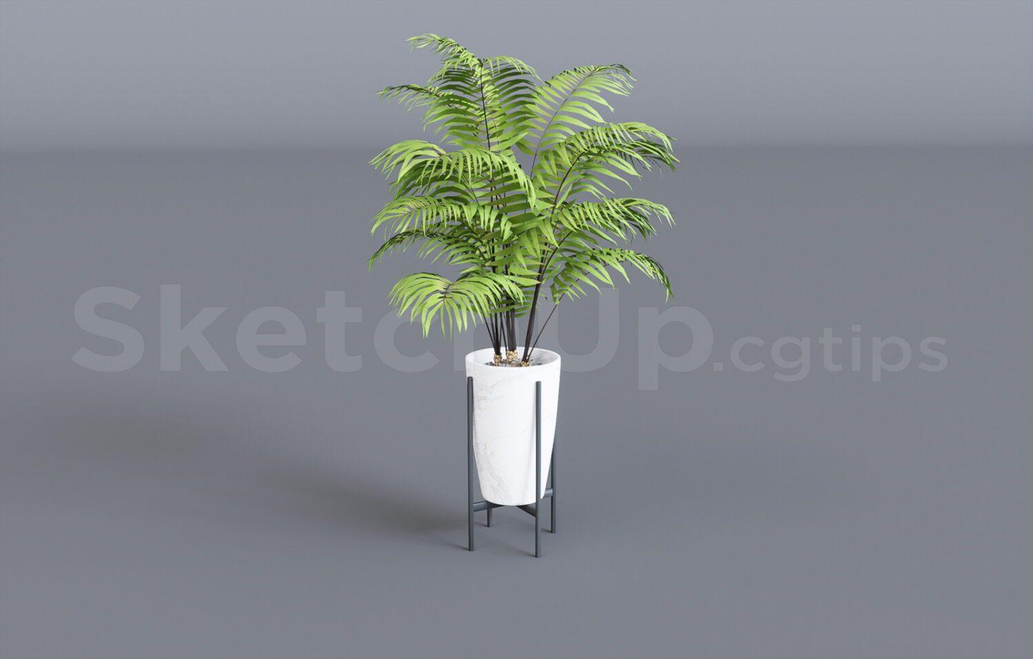 Plant