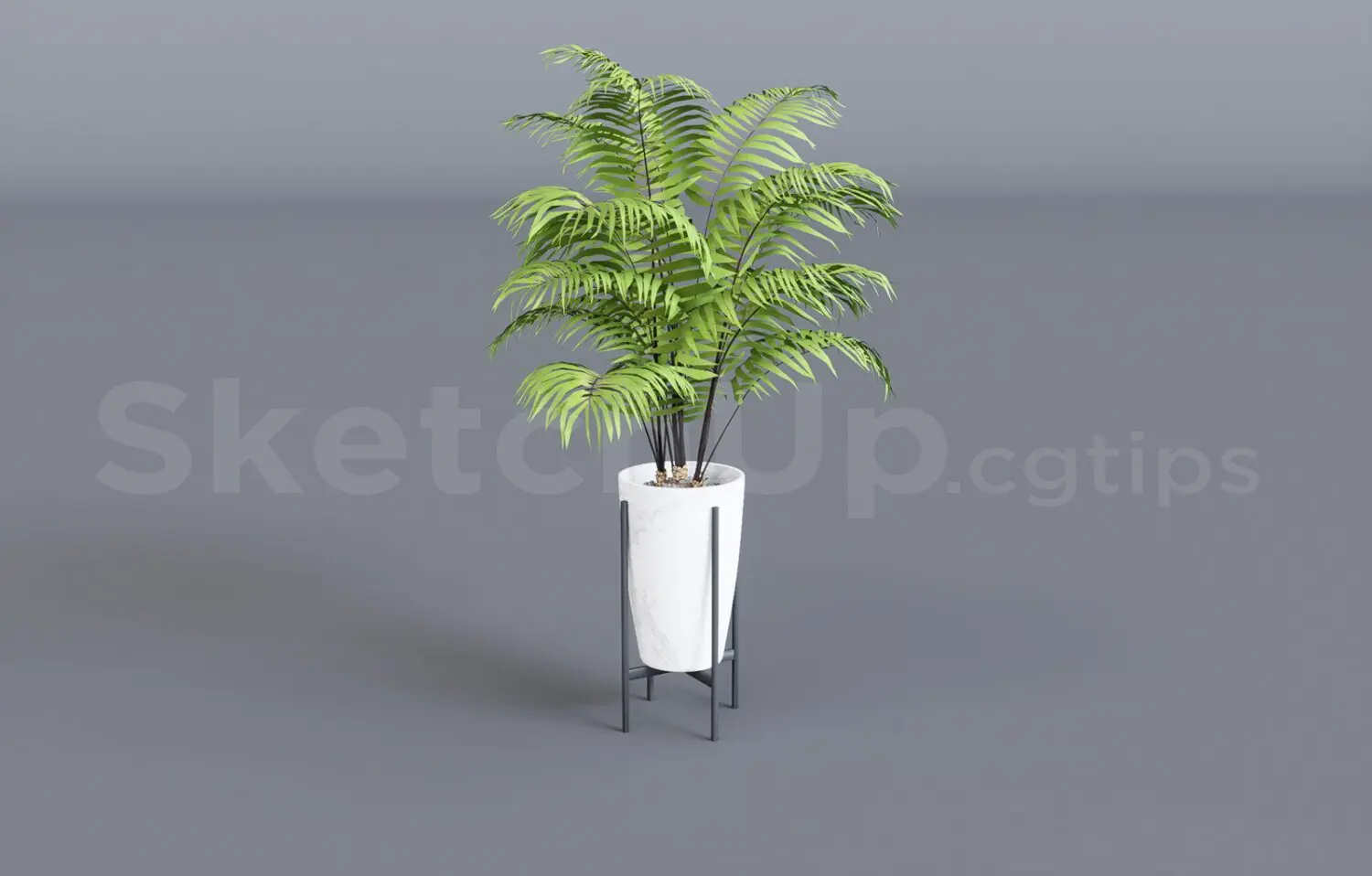 Plant — preview 1 (cgtips, CC0)