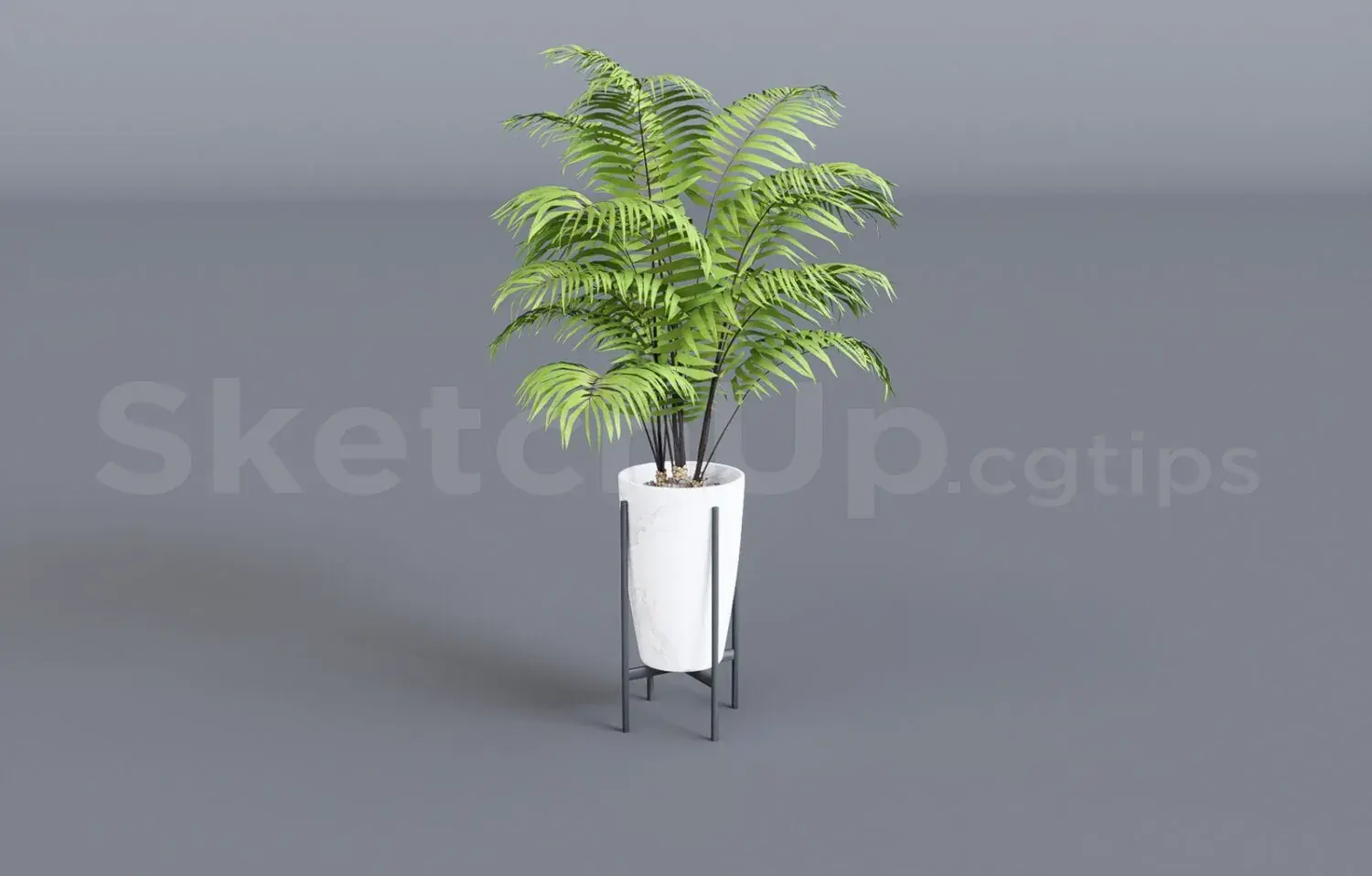 Plant