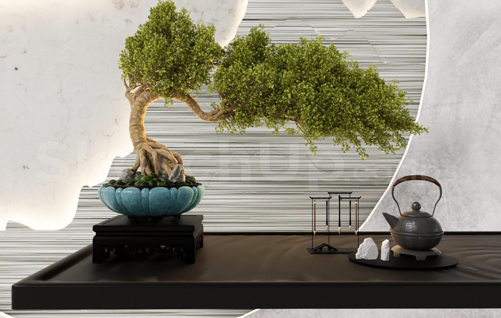 BonSai Tree