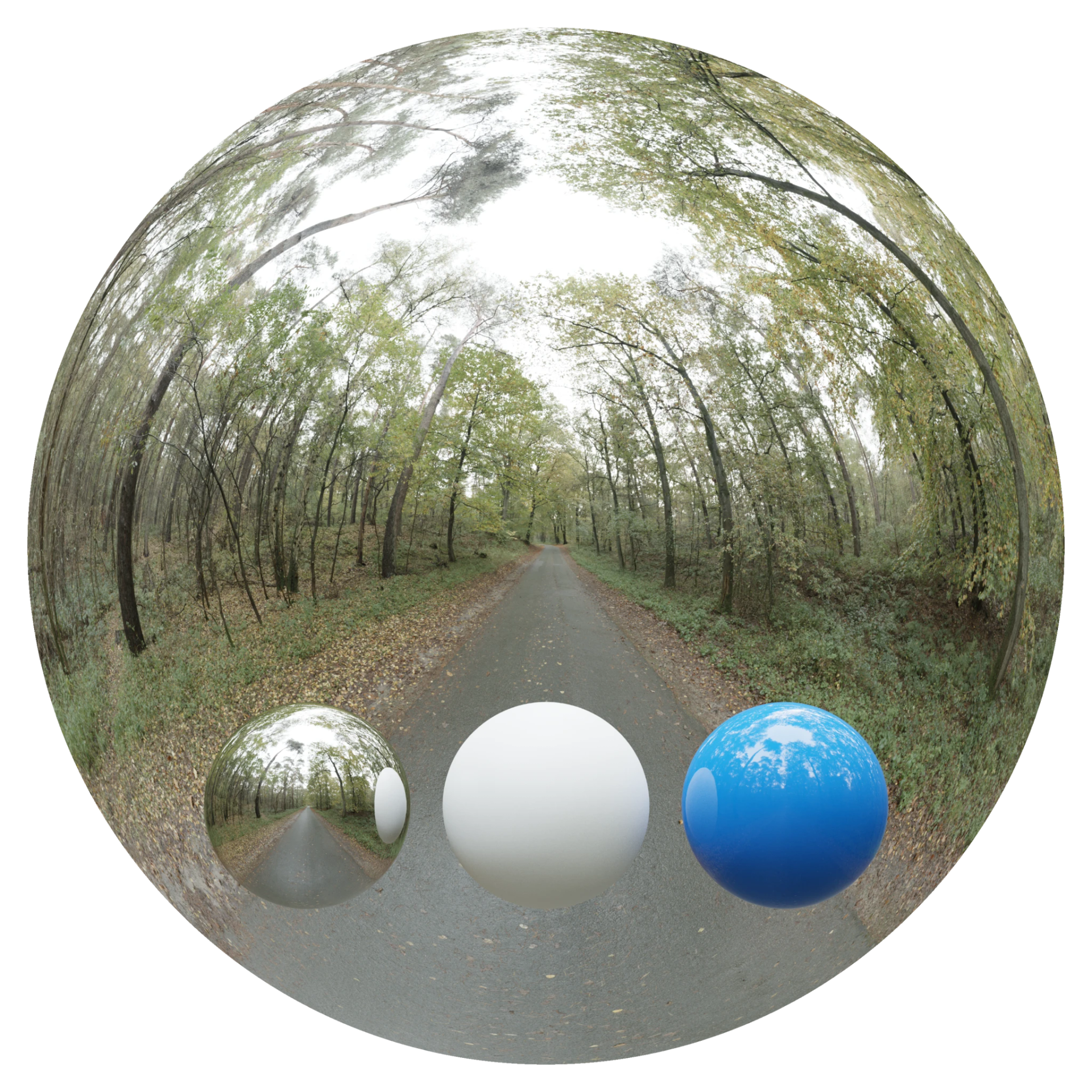 Day Environment HDRI 039