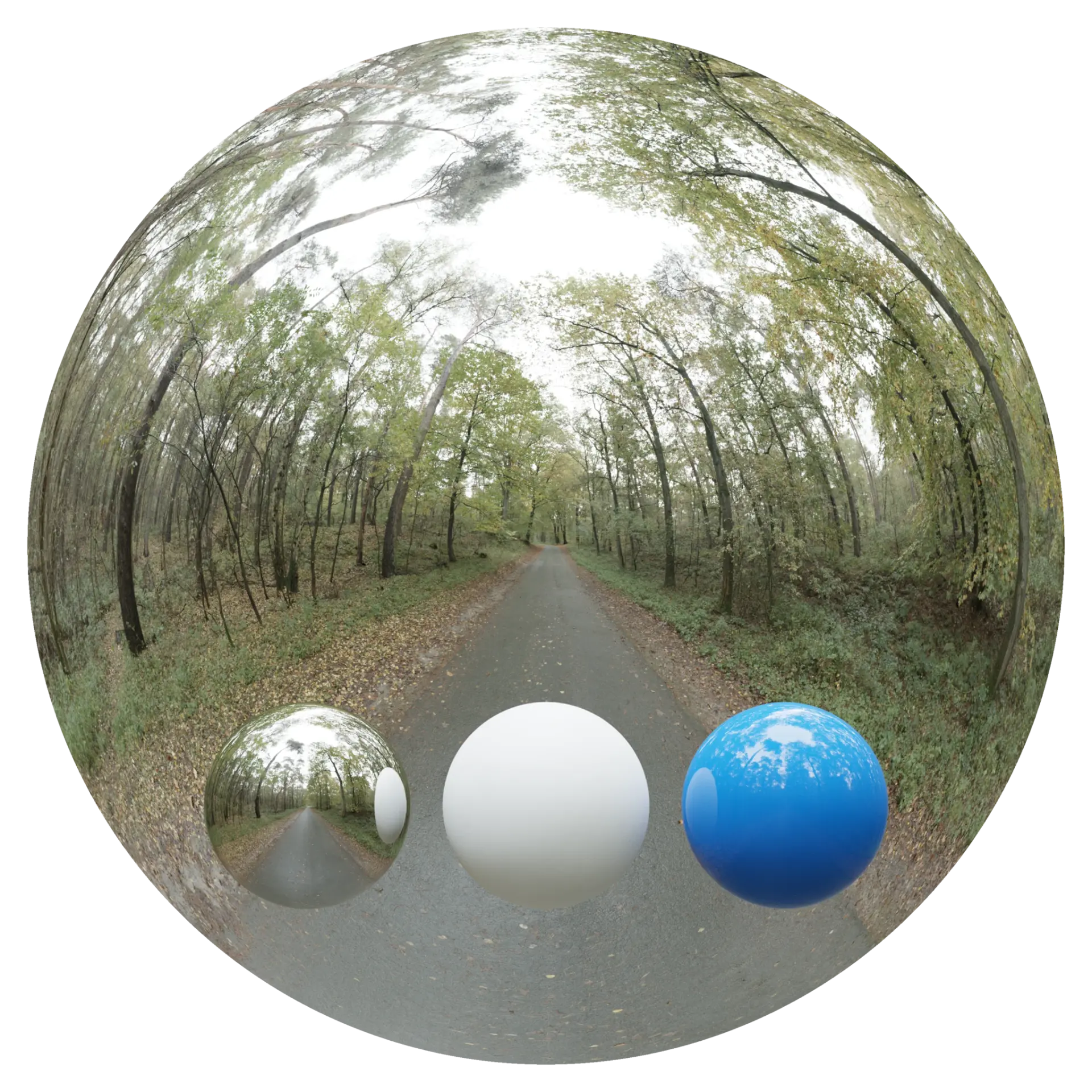 Day Environment HDRI 039