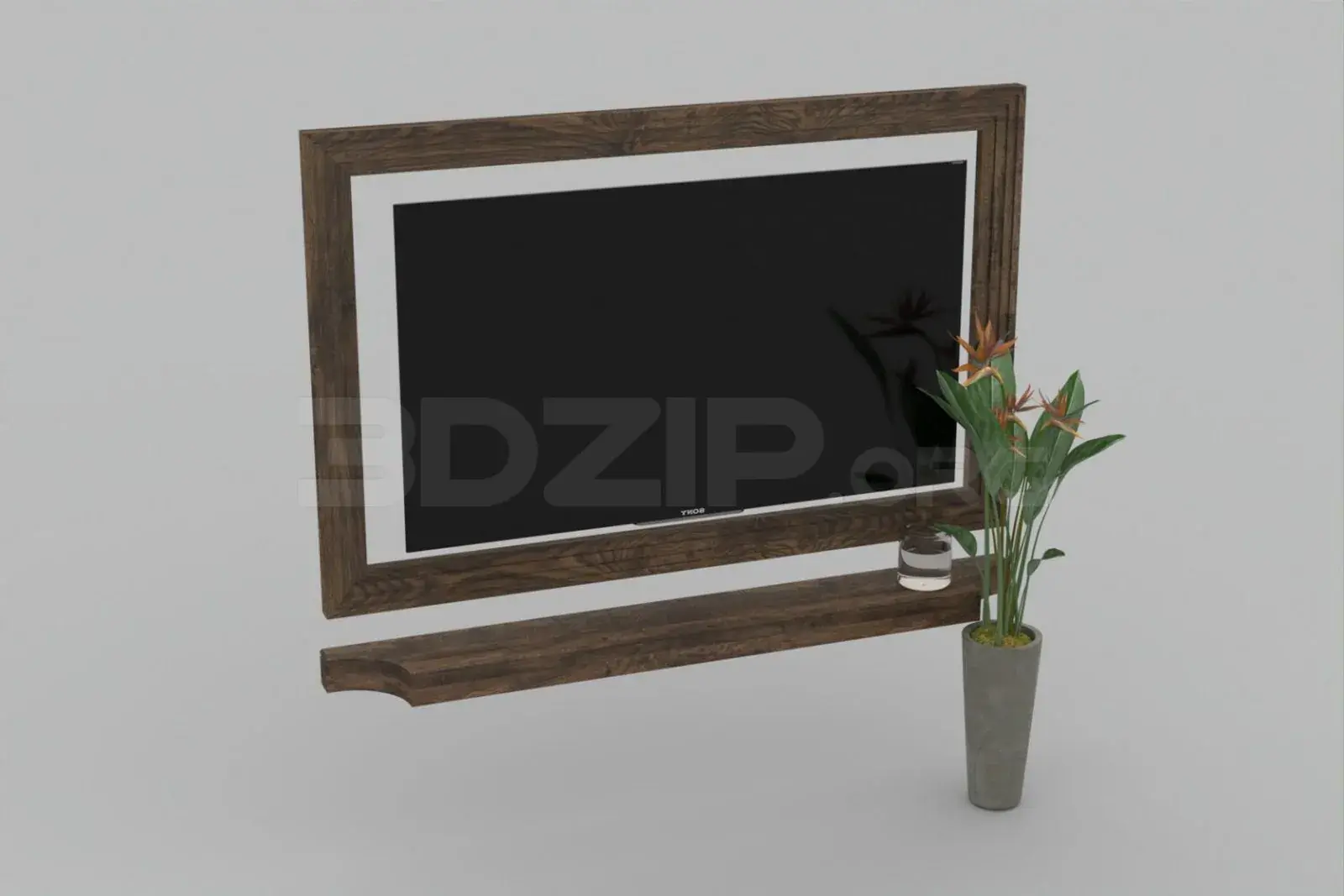 TV