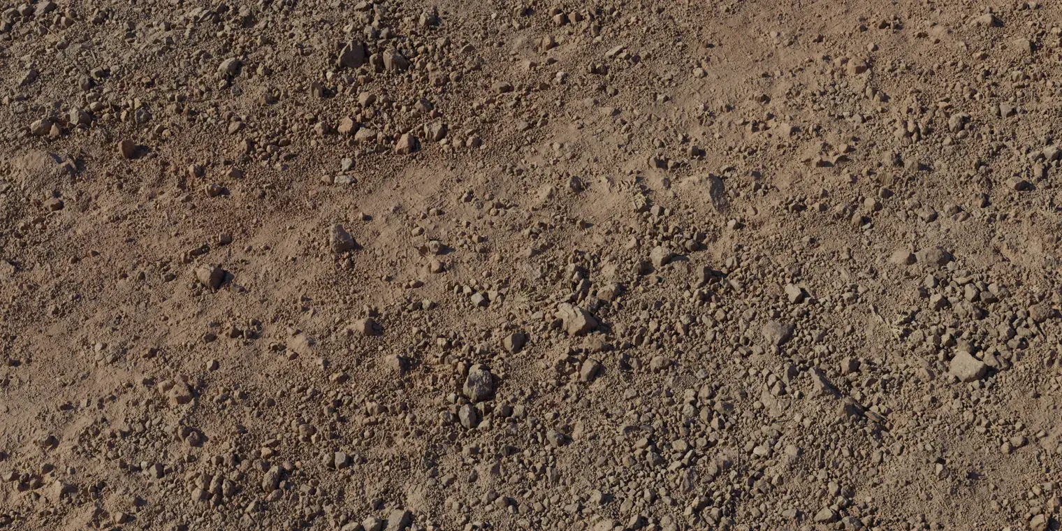 Rocky Trail 2